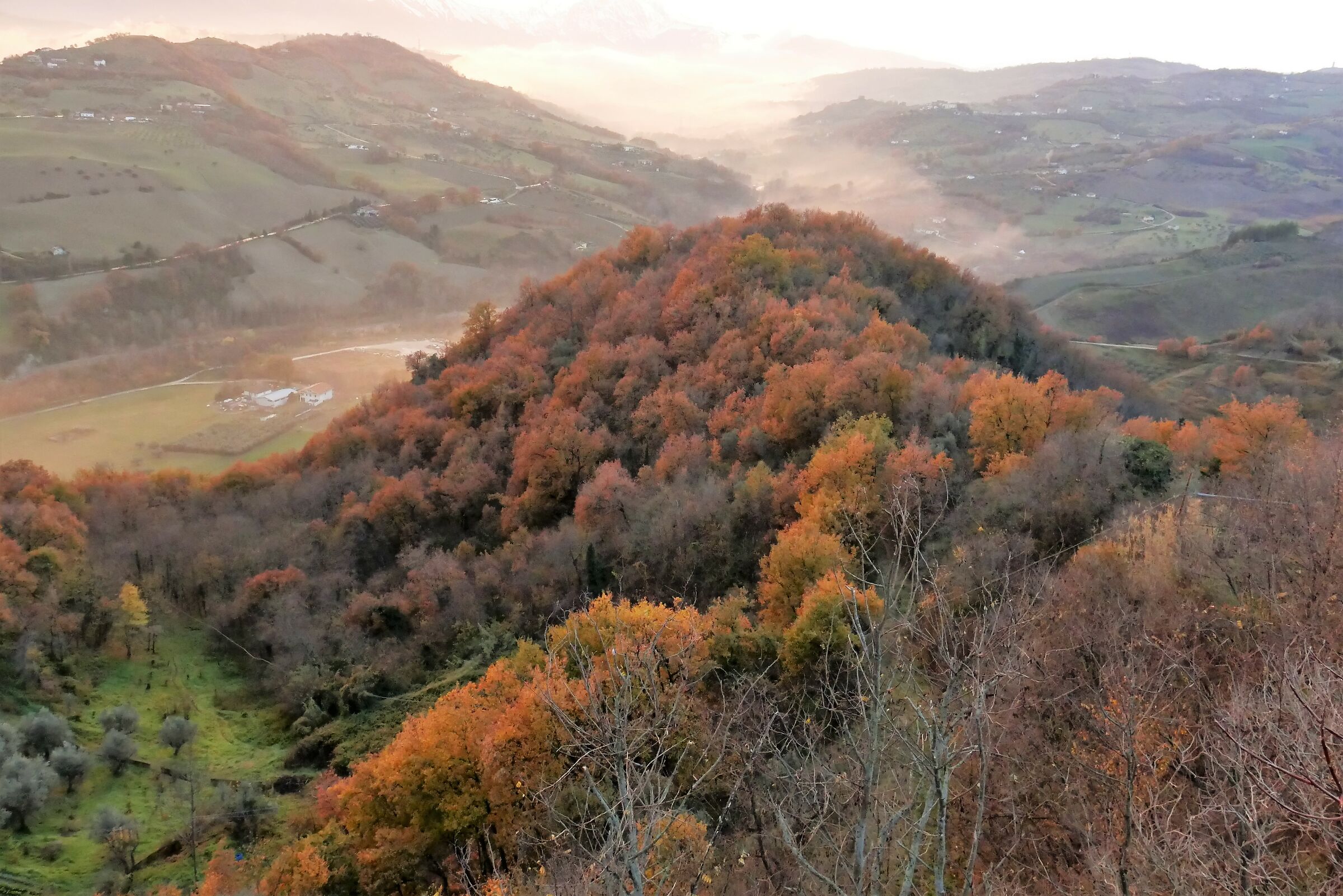 Visione dal nostro Belvedere!