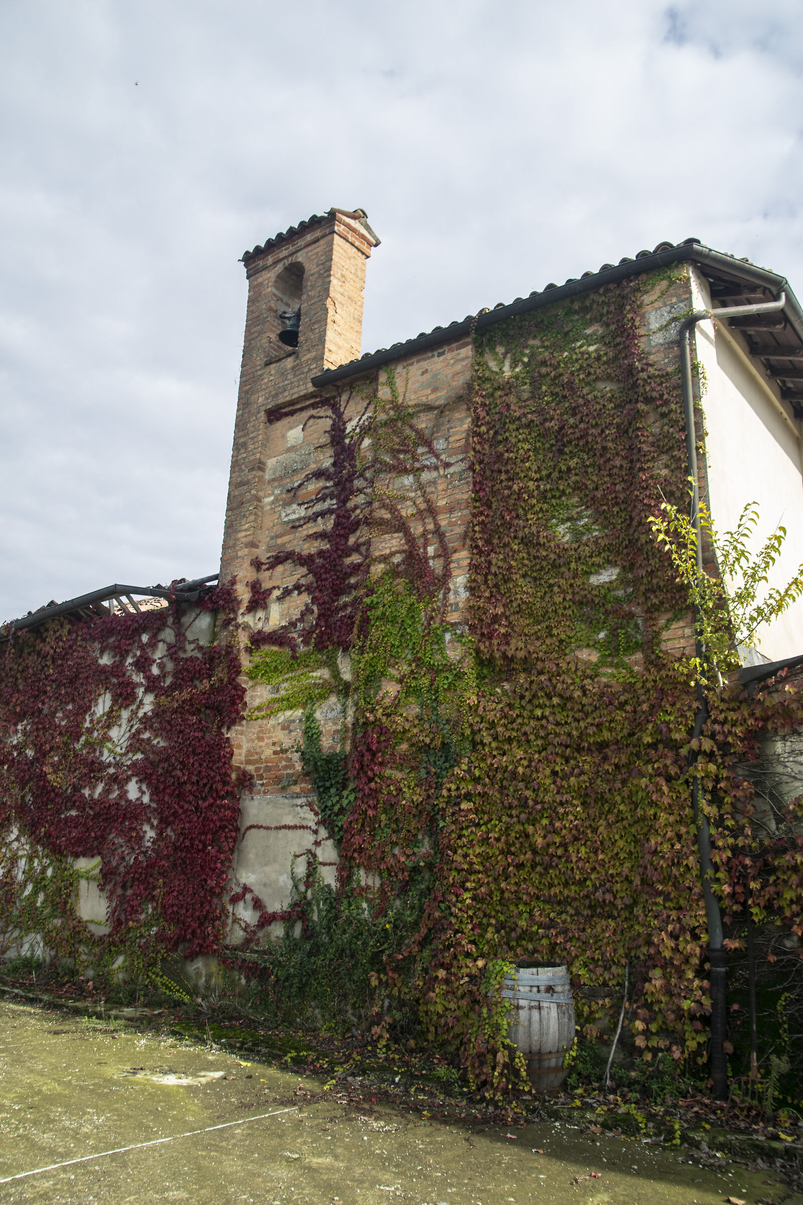 Autumn in the Monferrato