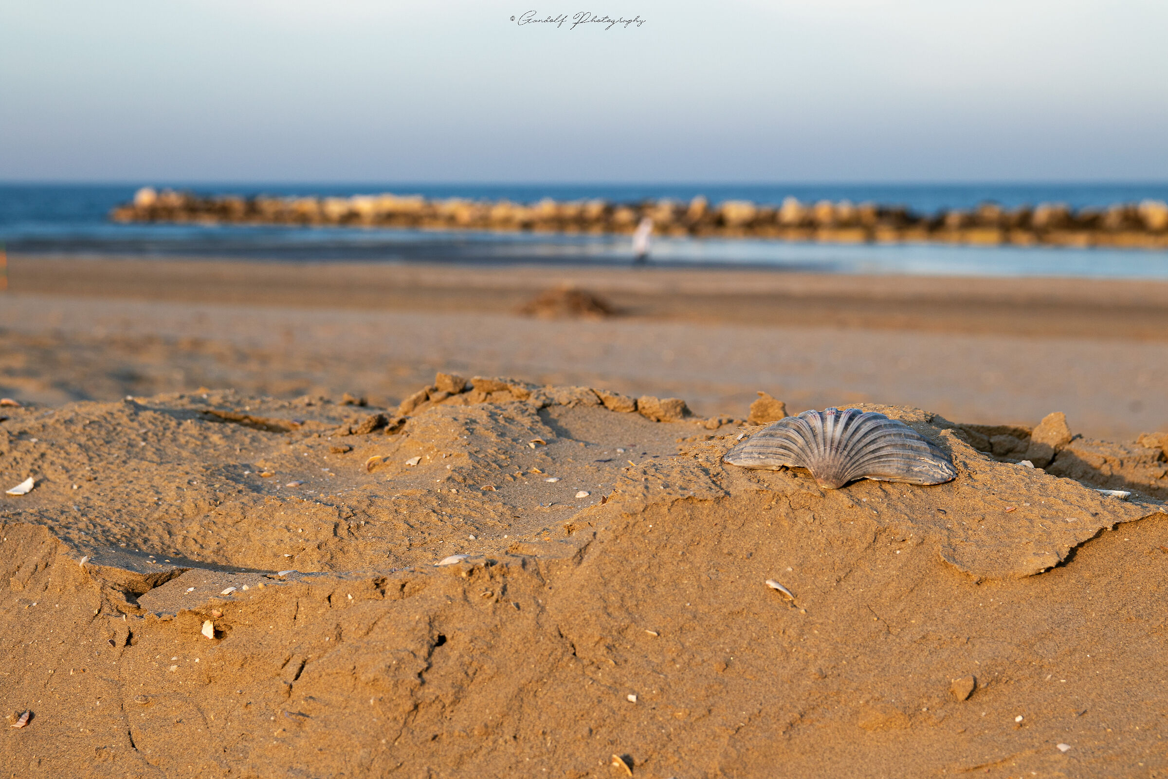 Il mare d'inverno 01