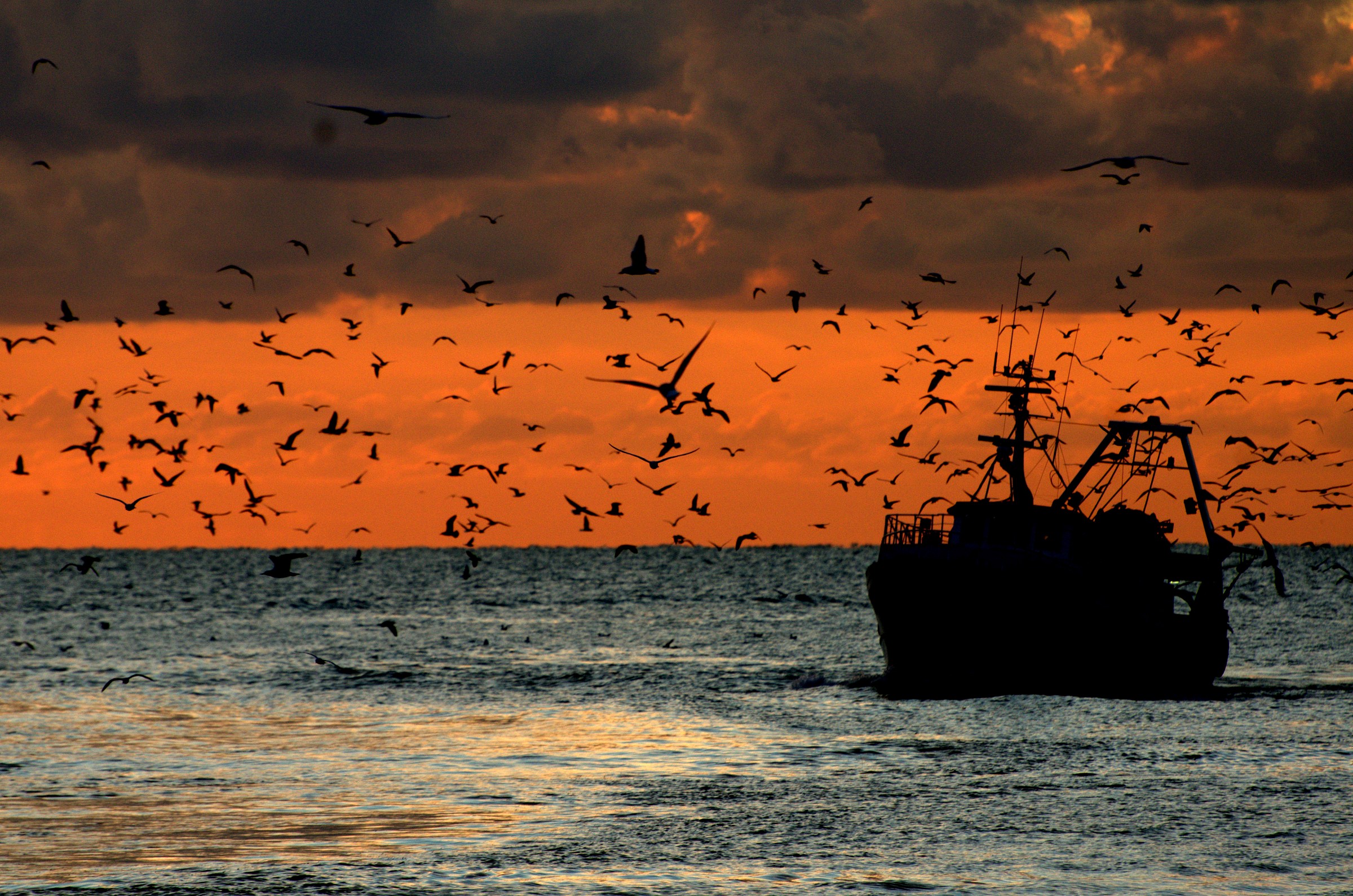 peschereccio al tramonto