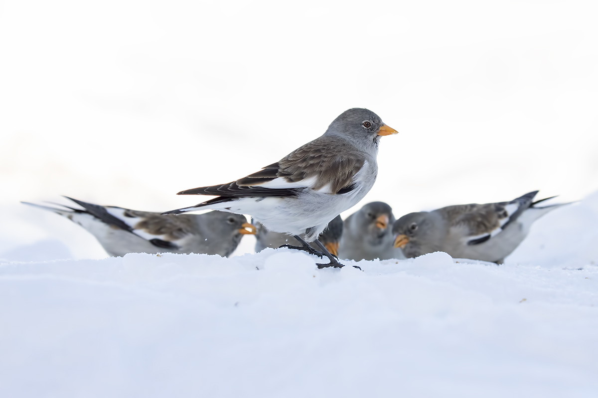 A quiet family dinner