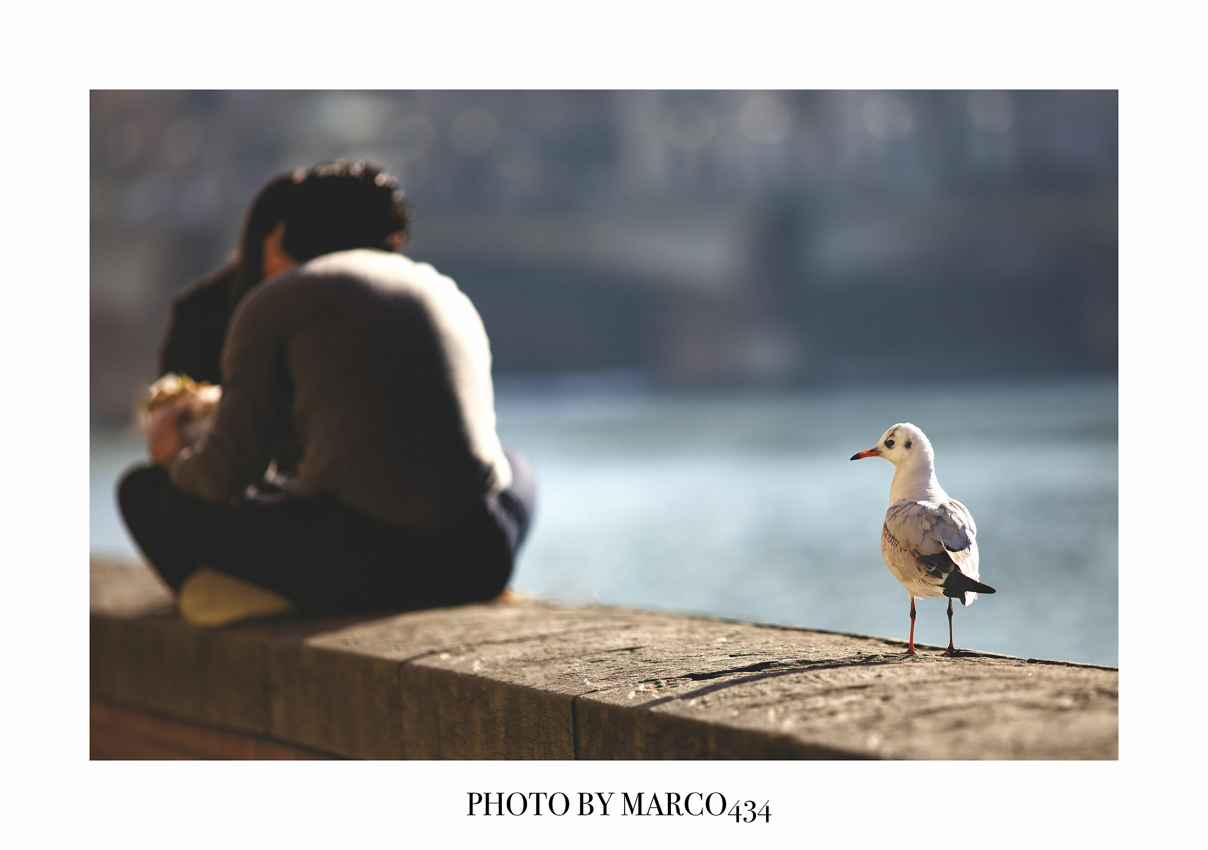 Perfetto equilibrio (A perfect balance)