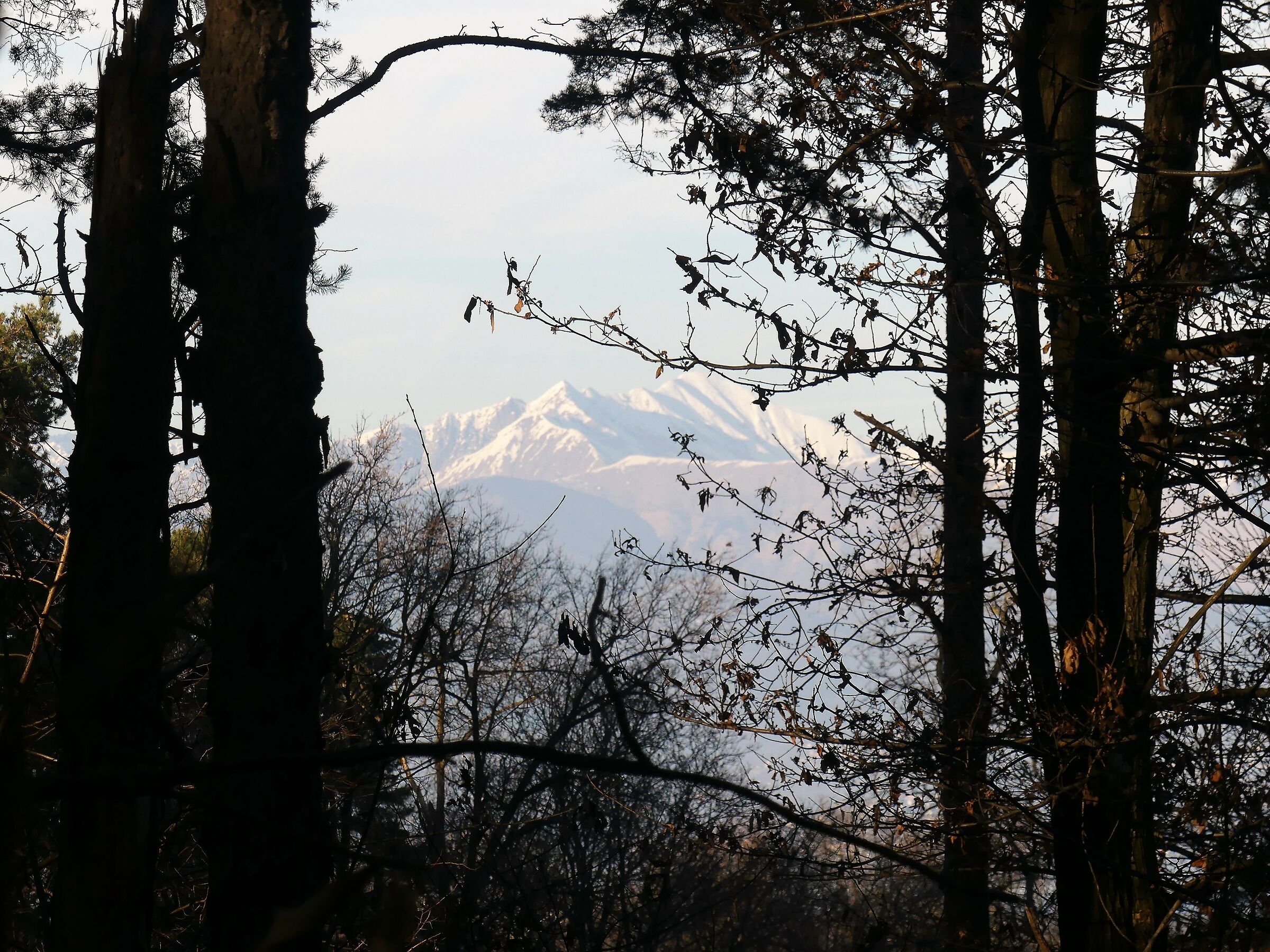 Untitled Photo
