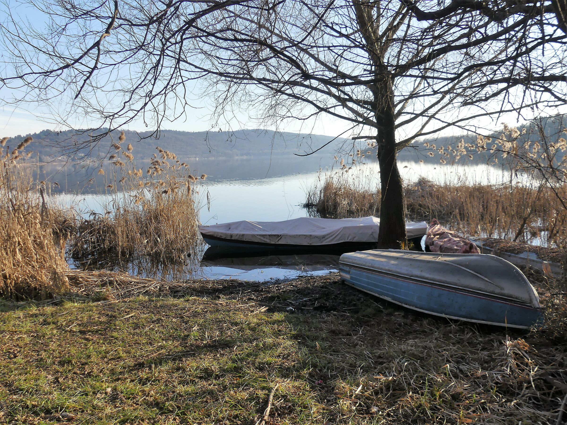 Untitled Photo
