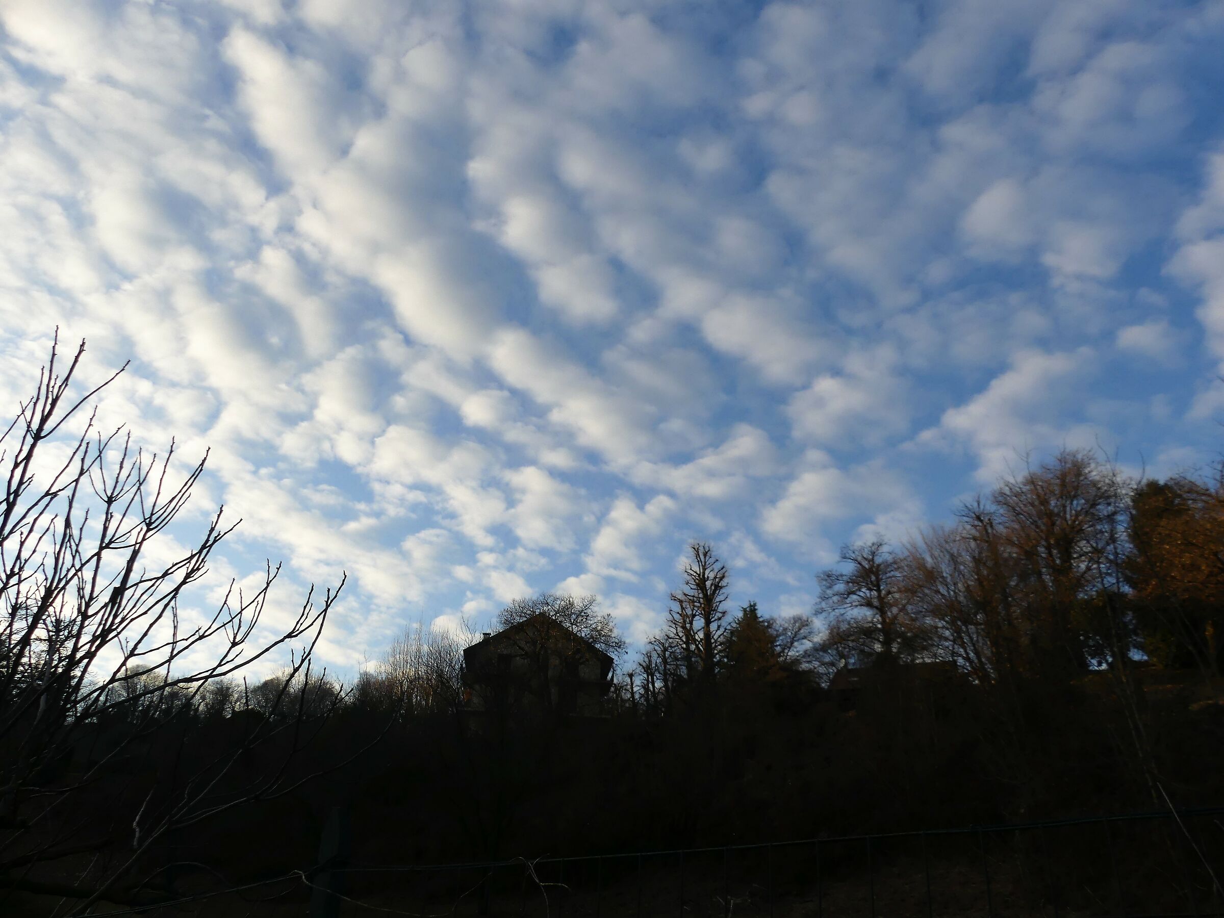Untitled Photo