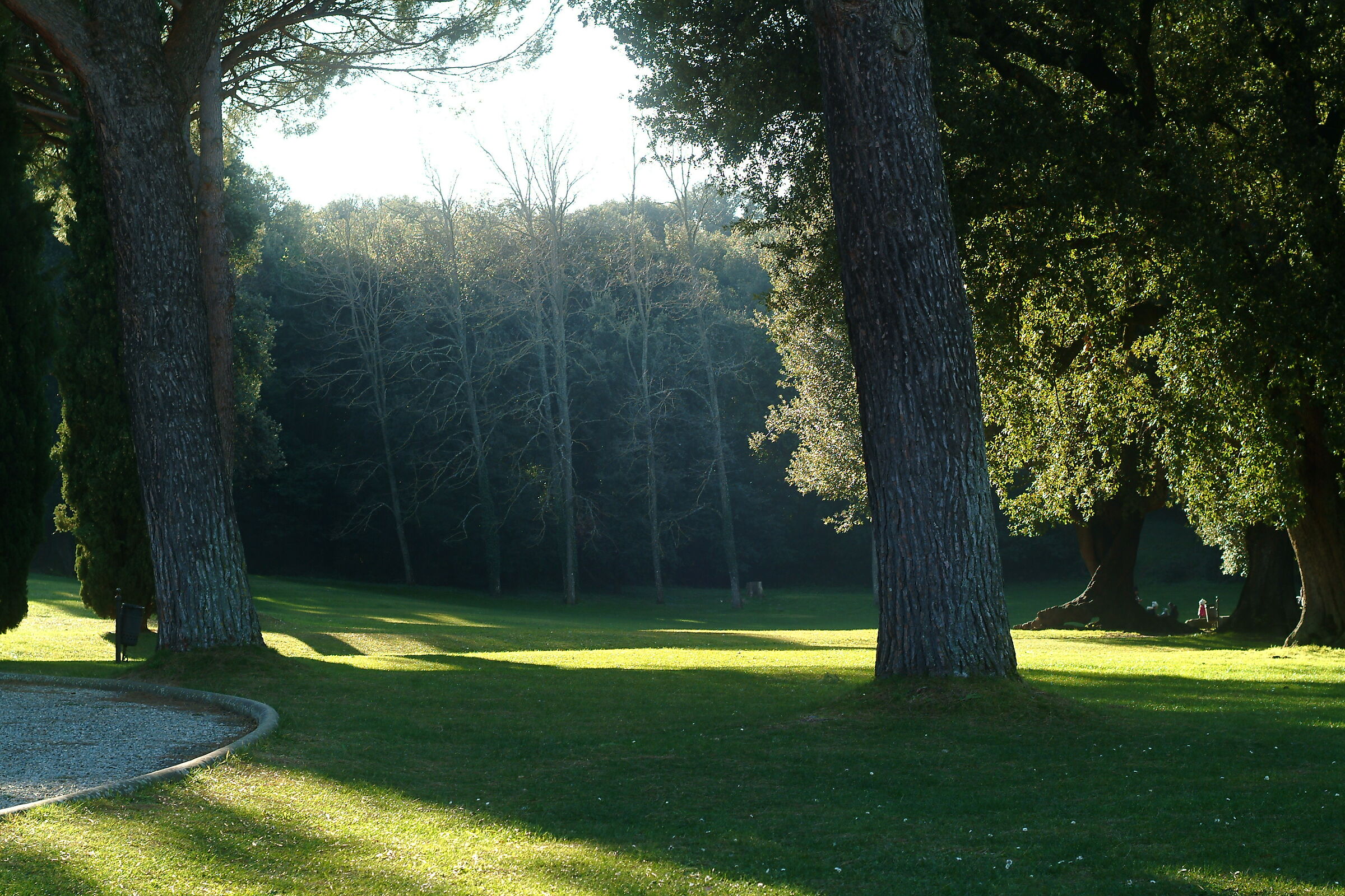 Bagnaia (vt), Villa Lante