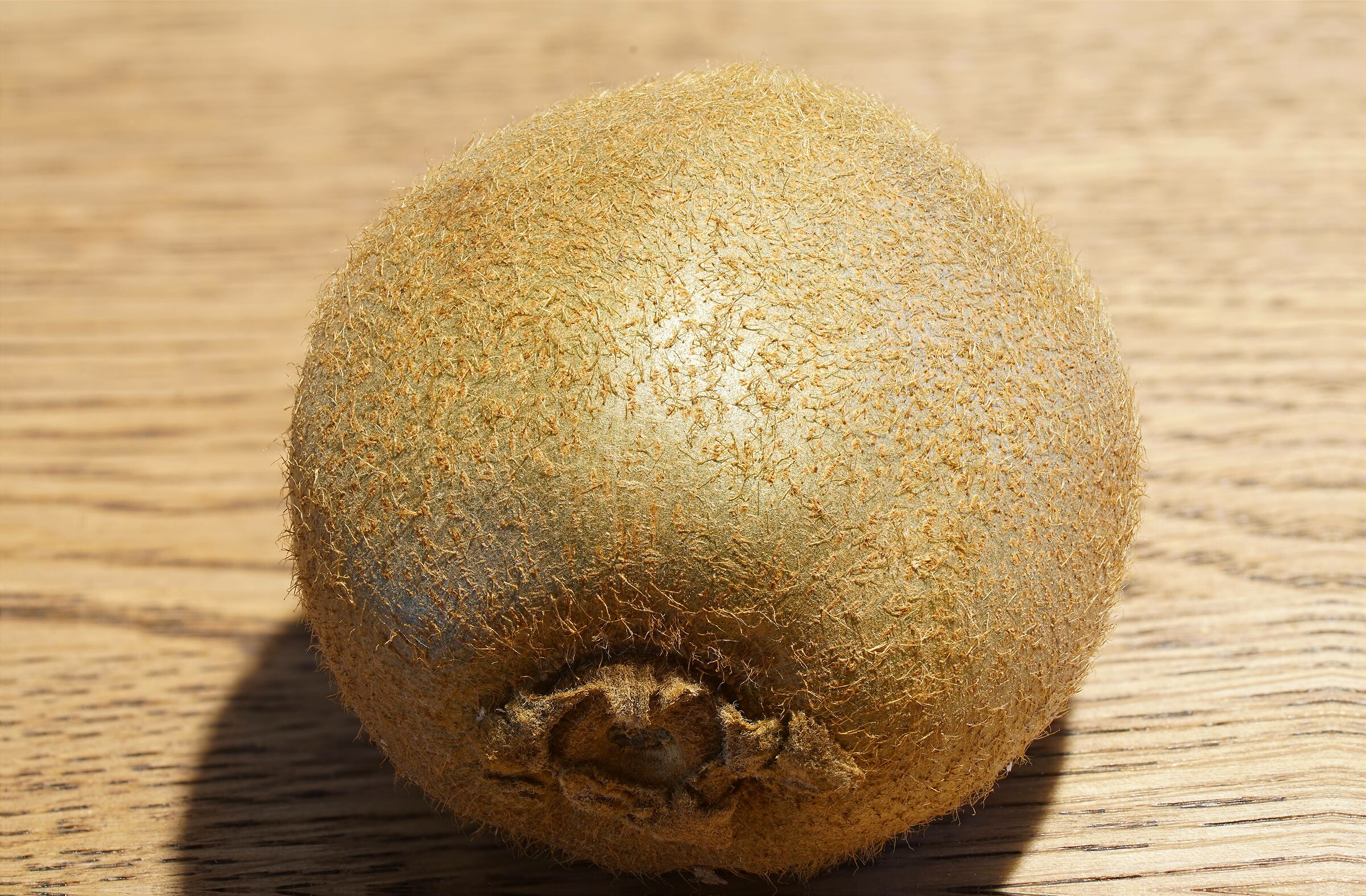 kiwi focus stacking 2 combine zp