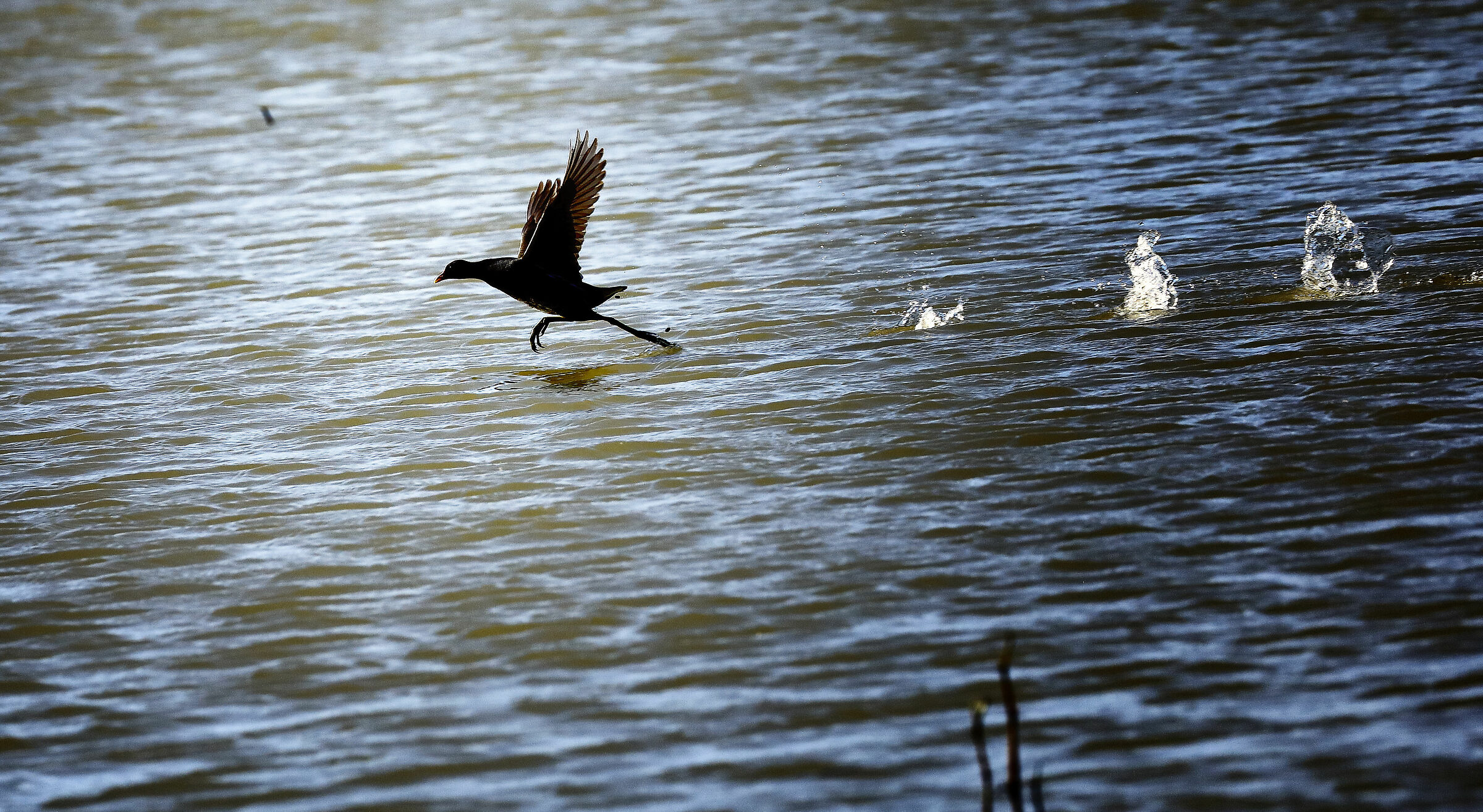 Un decollo difficile...