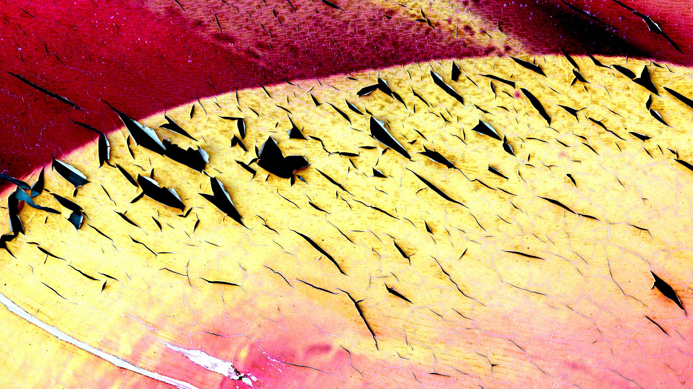 cuts and wounds