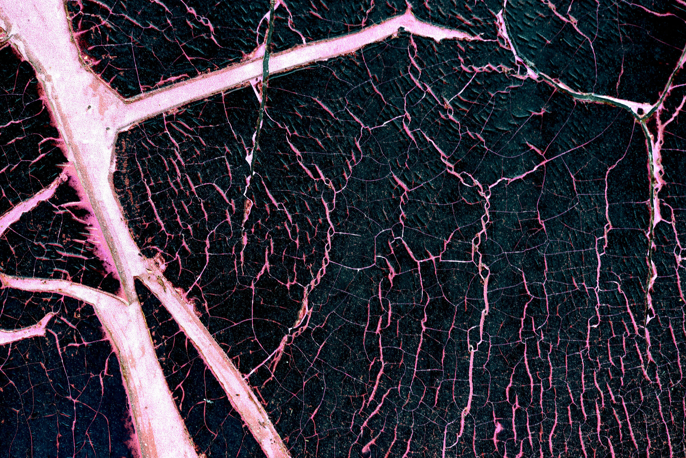 cuts and wounds