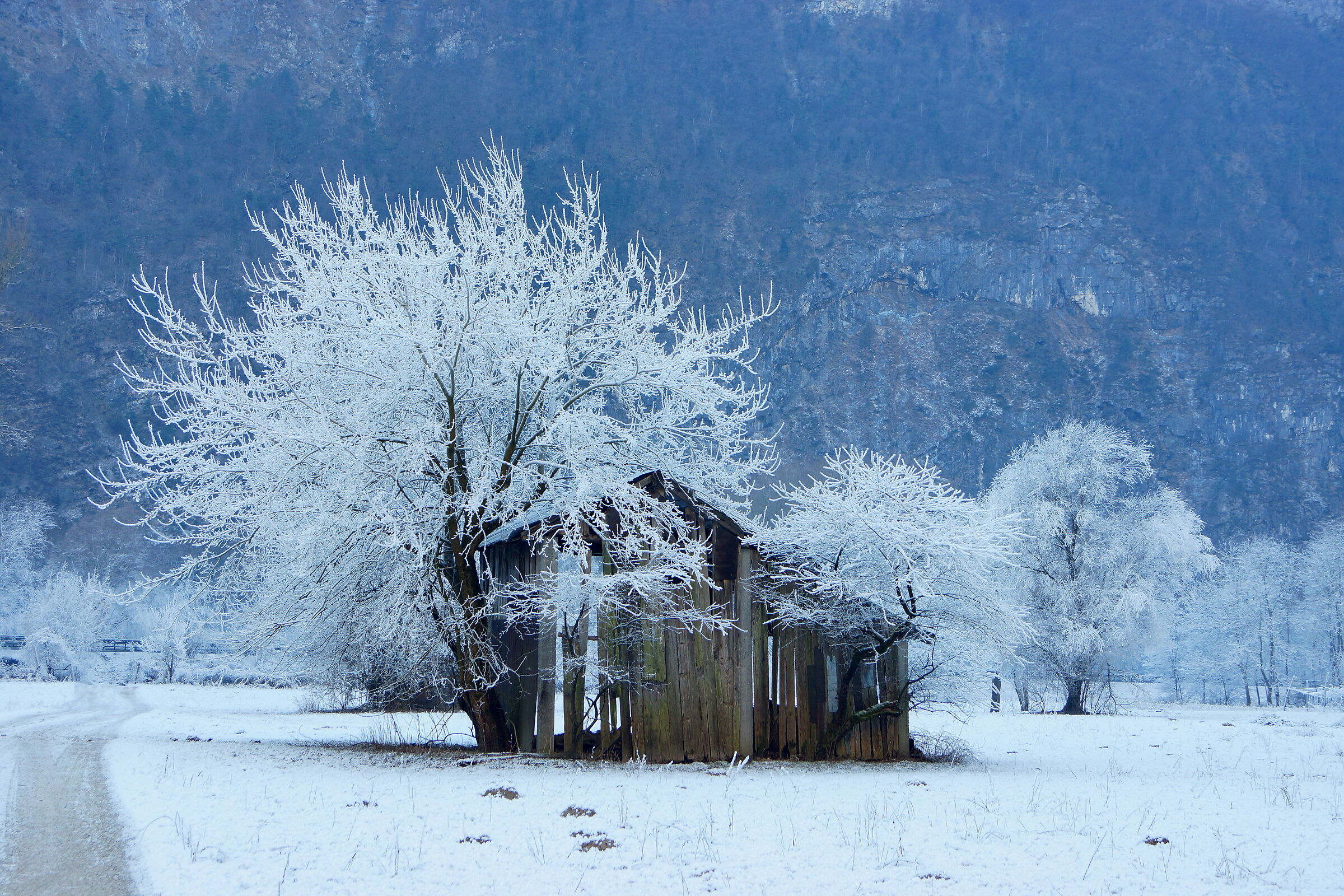 GALAVERNA, California
