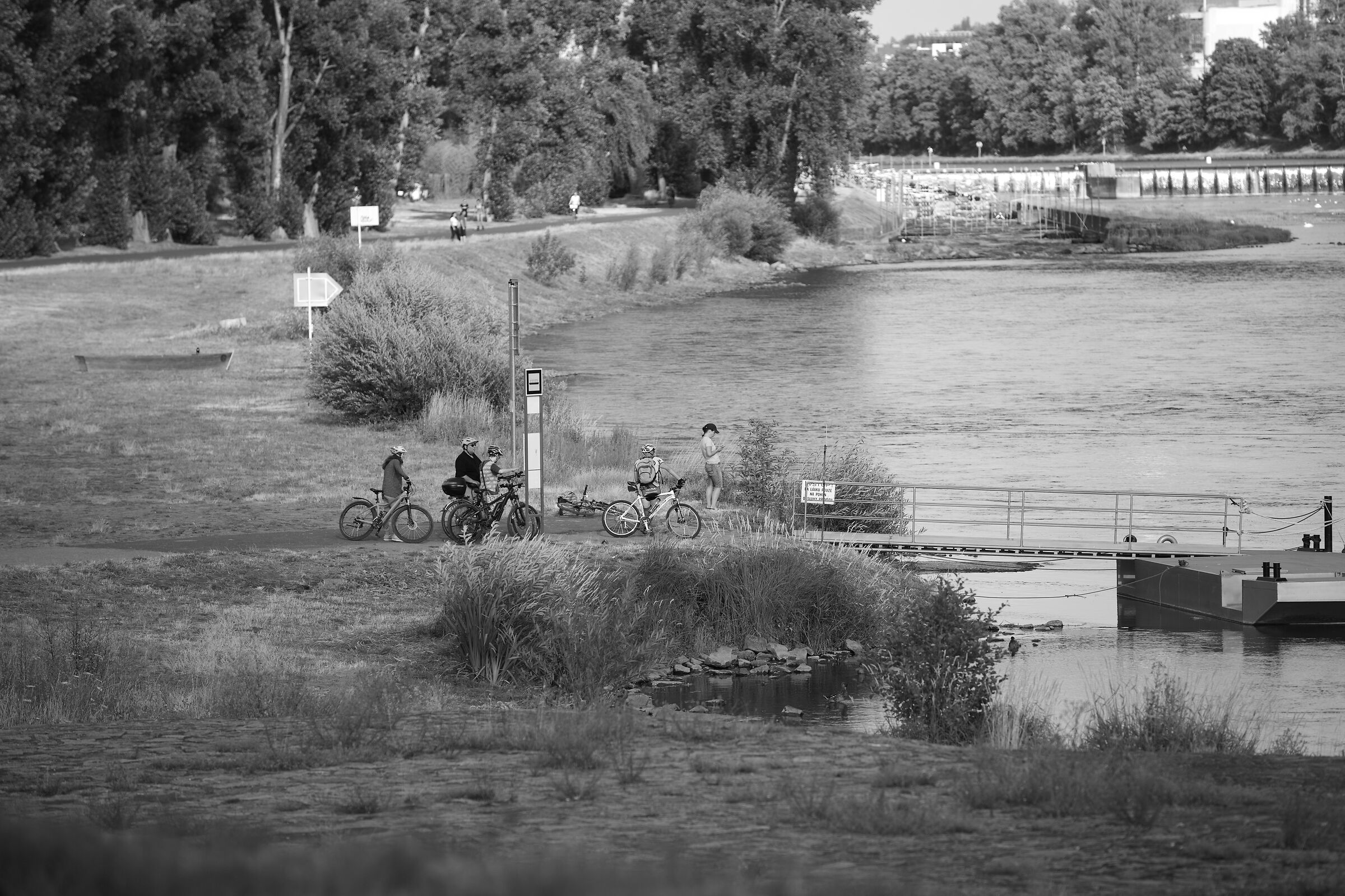 Bucolic view on Vitava river, Prague 2019
