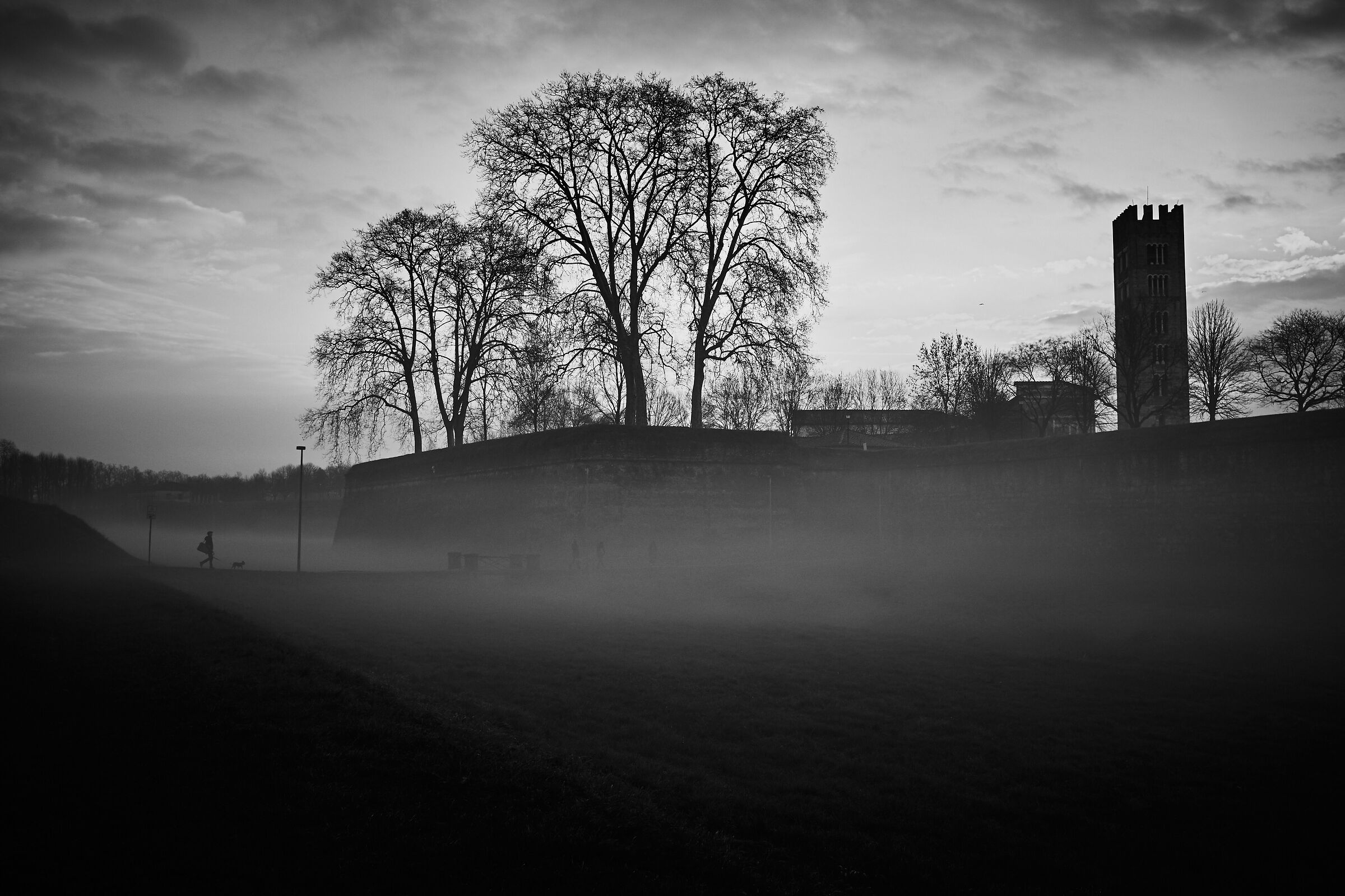 Walking with the dog