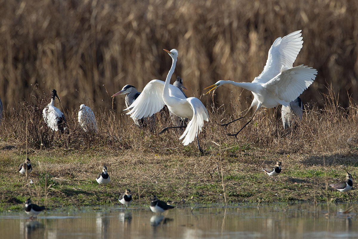 Talk with your family ...