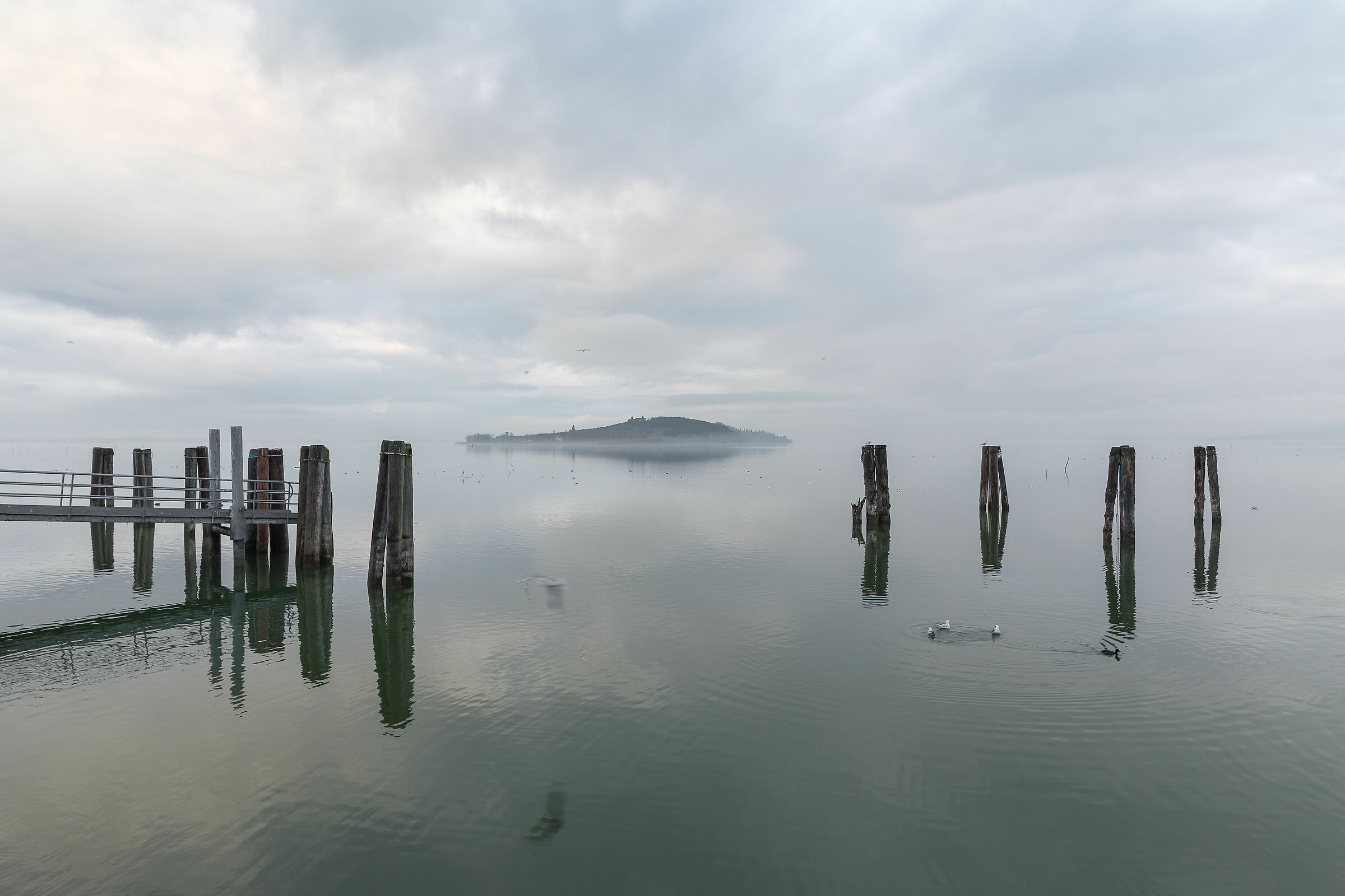 The island that isn't there (Polvese)