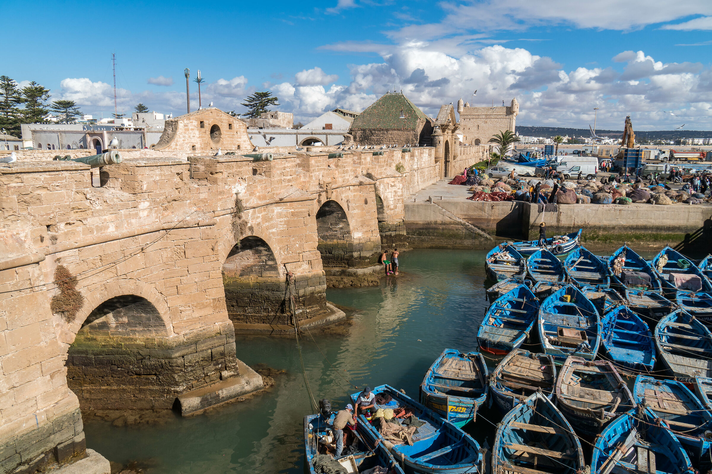 Il porto di Essaouira