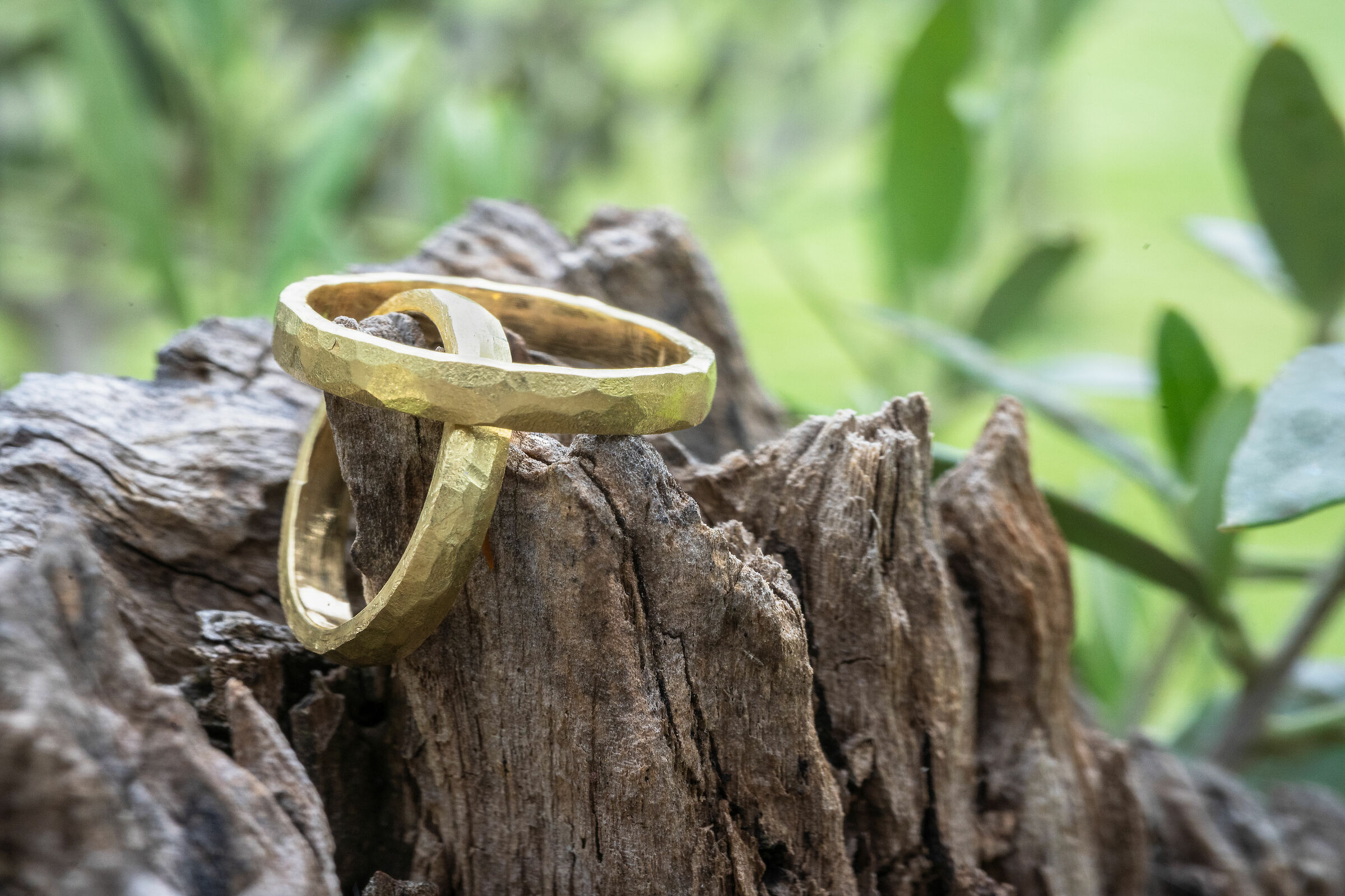 Rings between nature