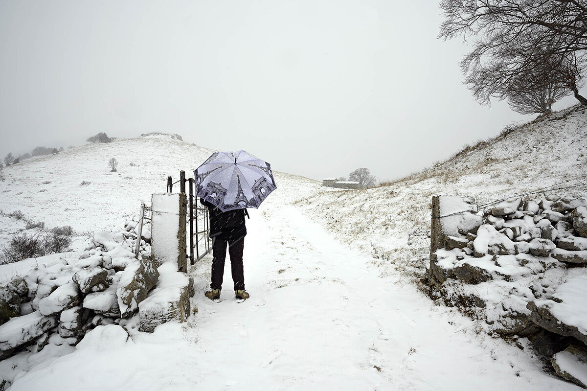 Looking for Paris....