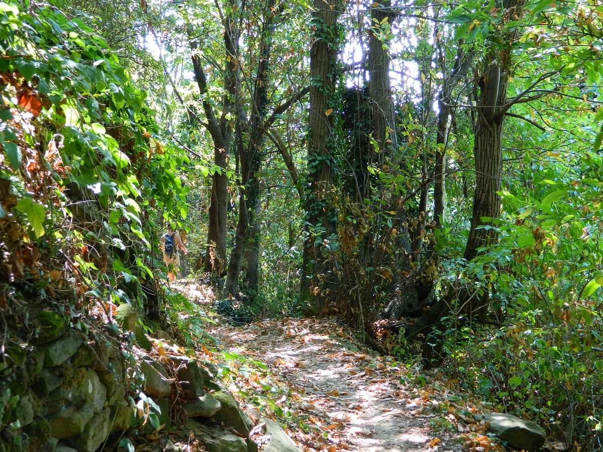 path from under the mountain to the town of pontida