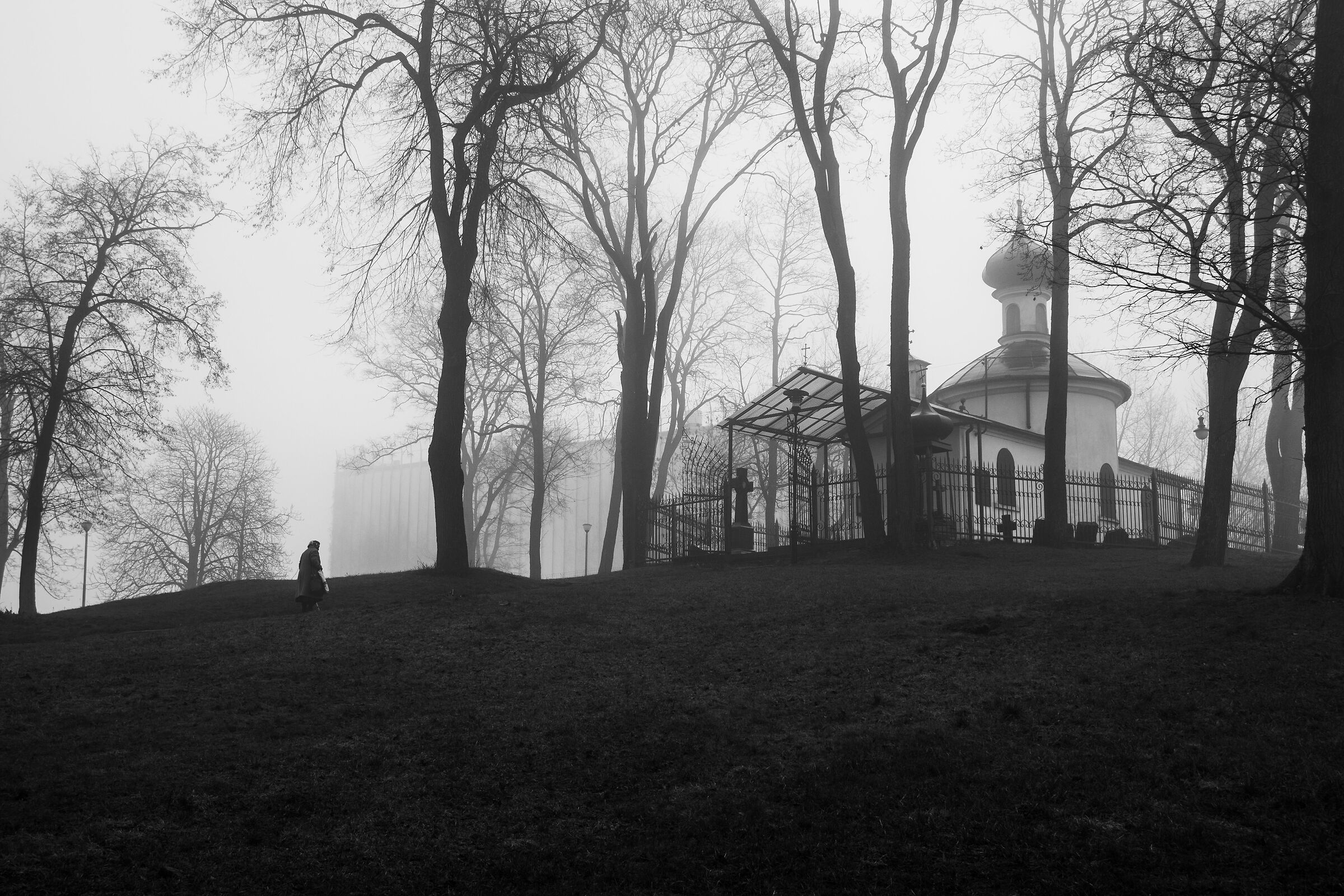 Foggy morning
