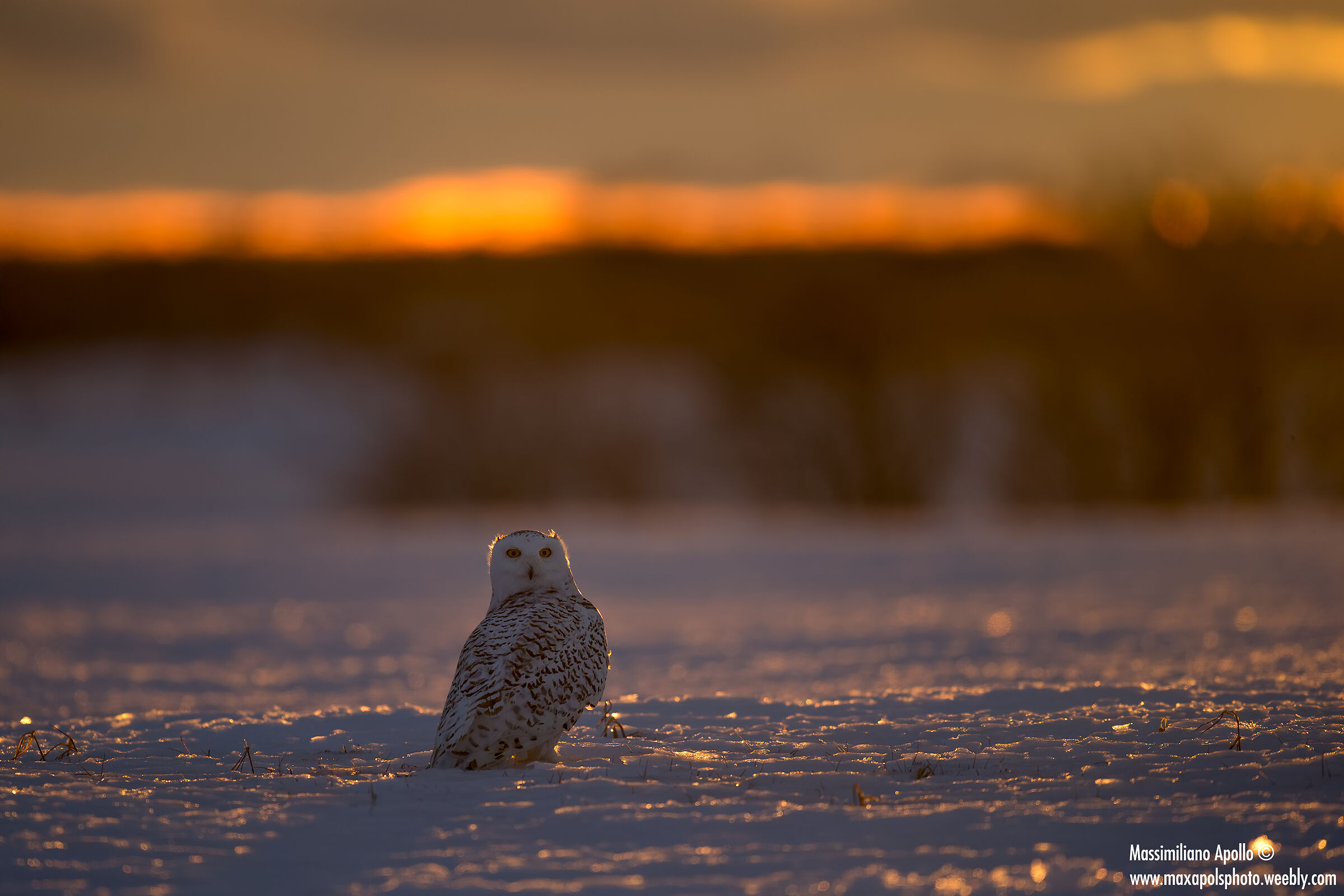 il fantasma al tramonto..