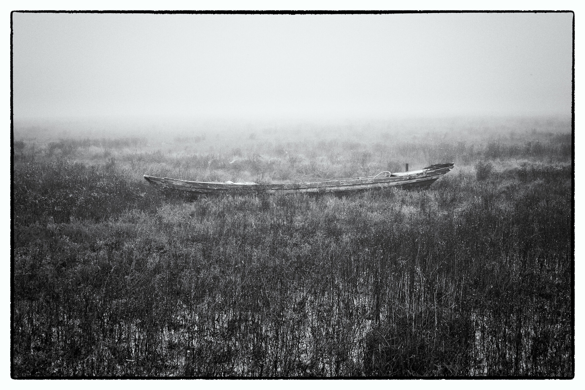 Abandonment