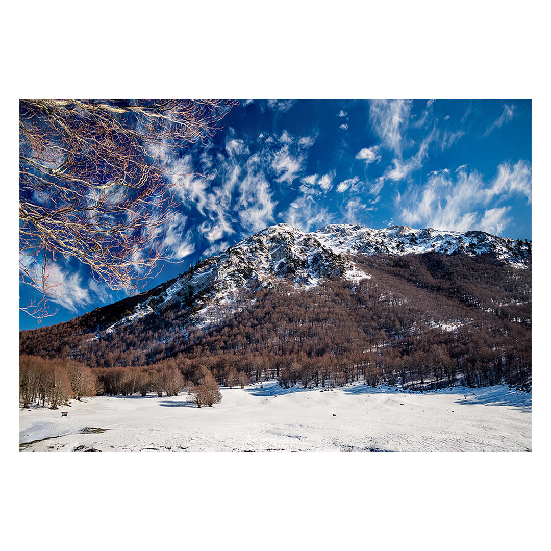 Gennaio, Piano Gaudolino