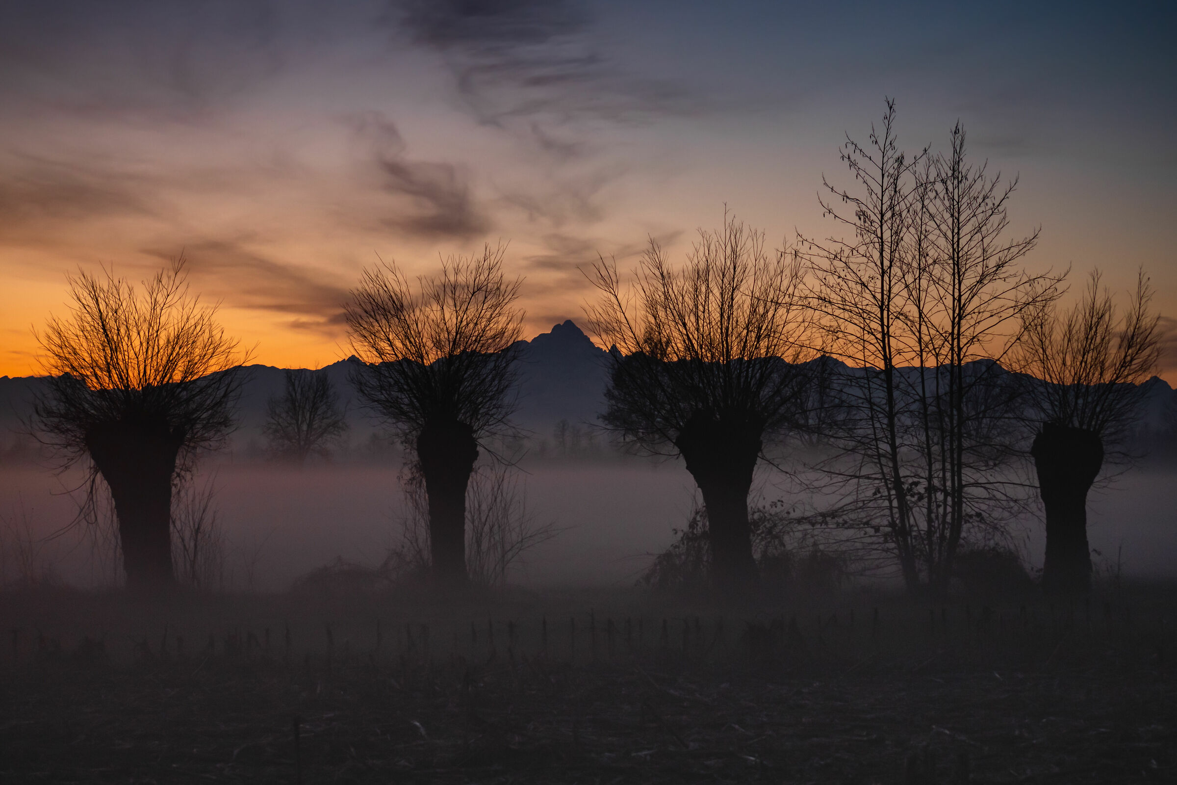 Nebbia serale in arrivo