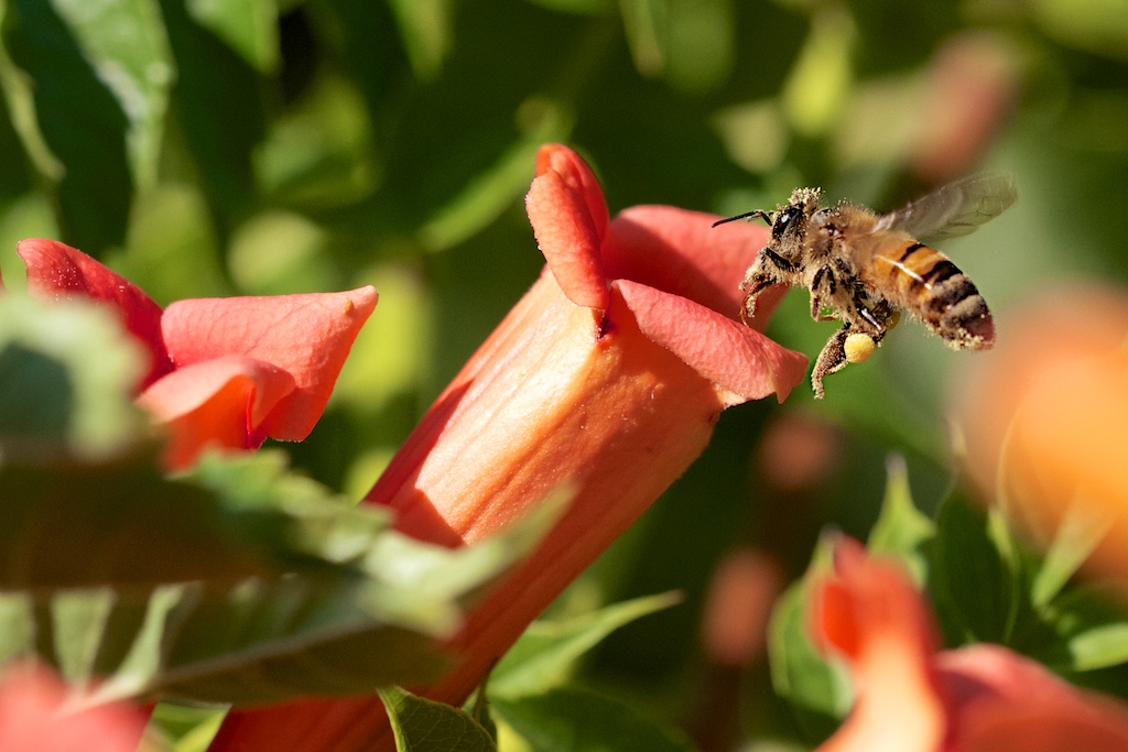 In volo, carico completato.