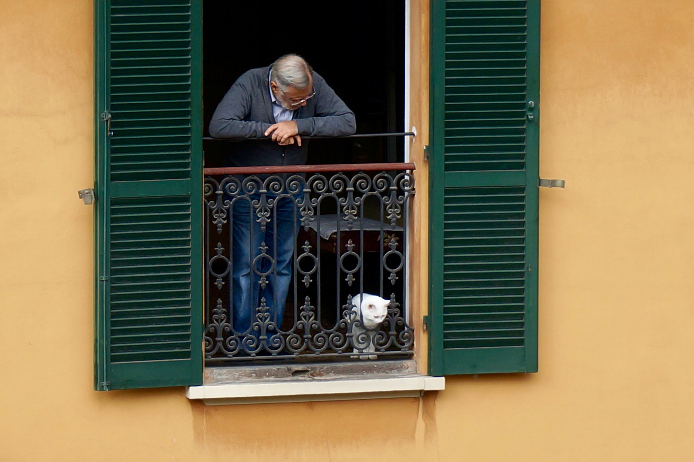 The window on the courtyard