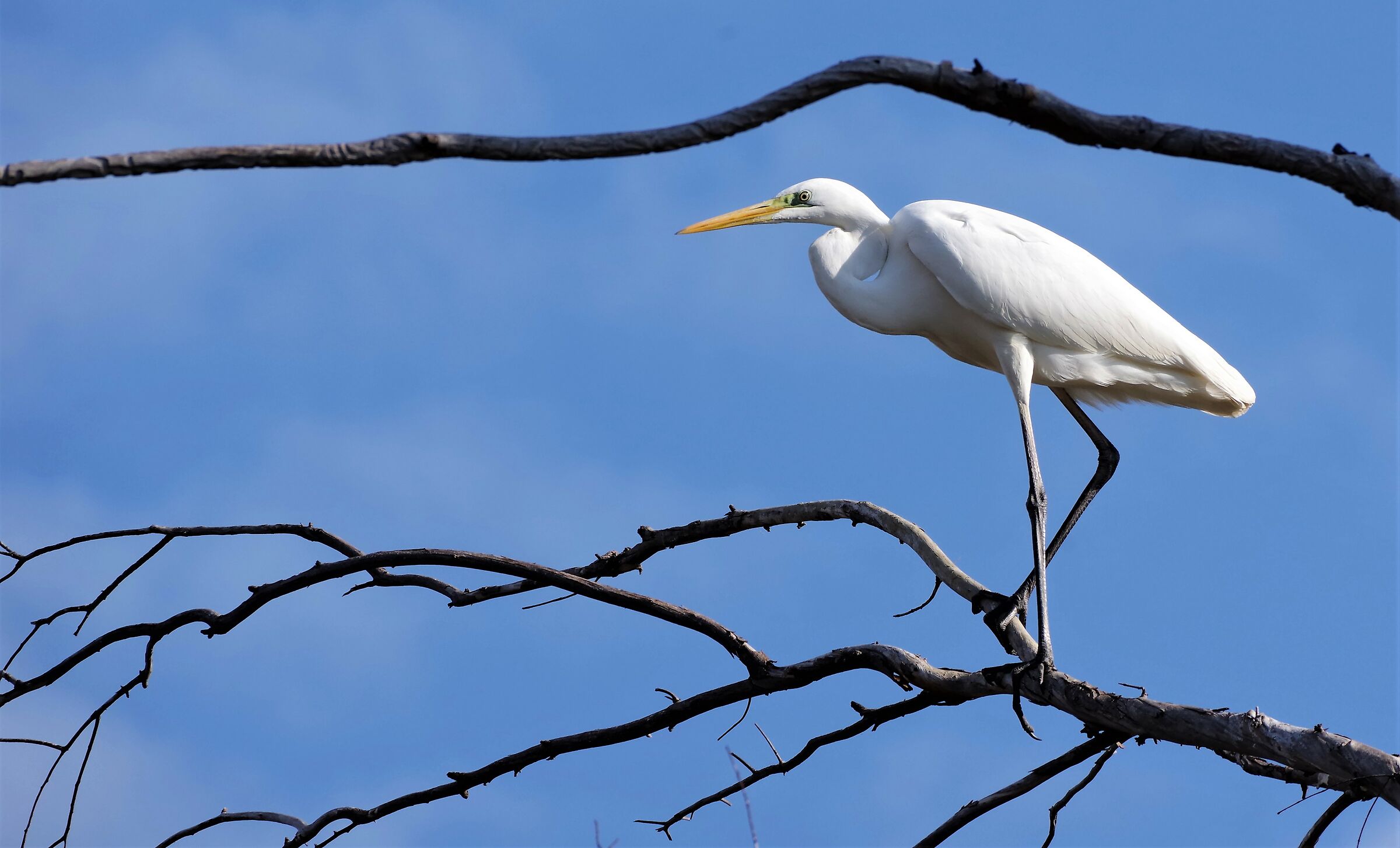 in posa per lo scatto