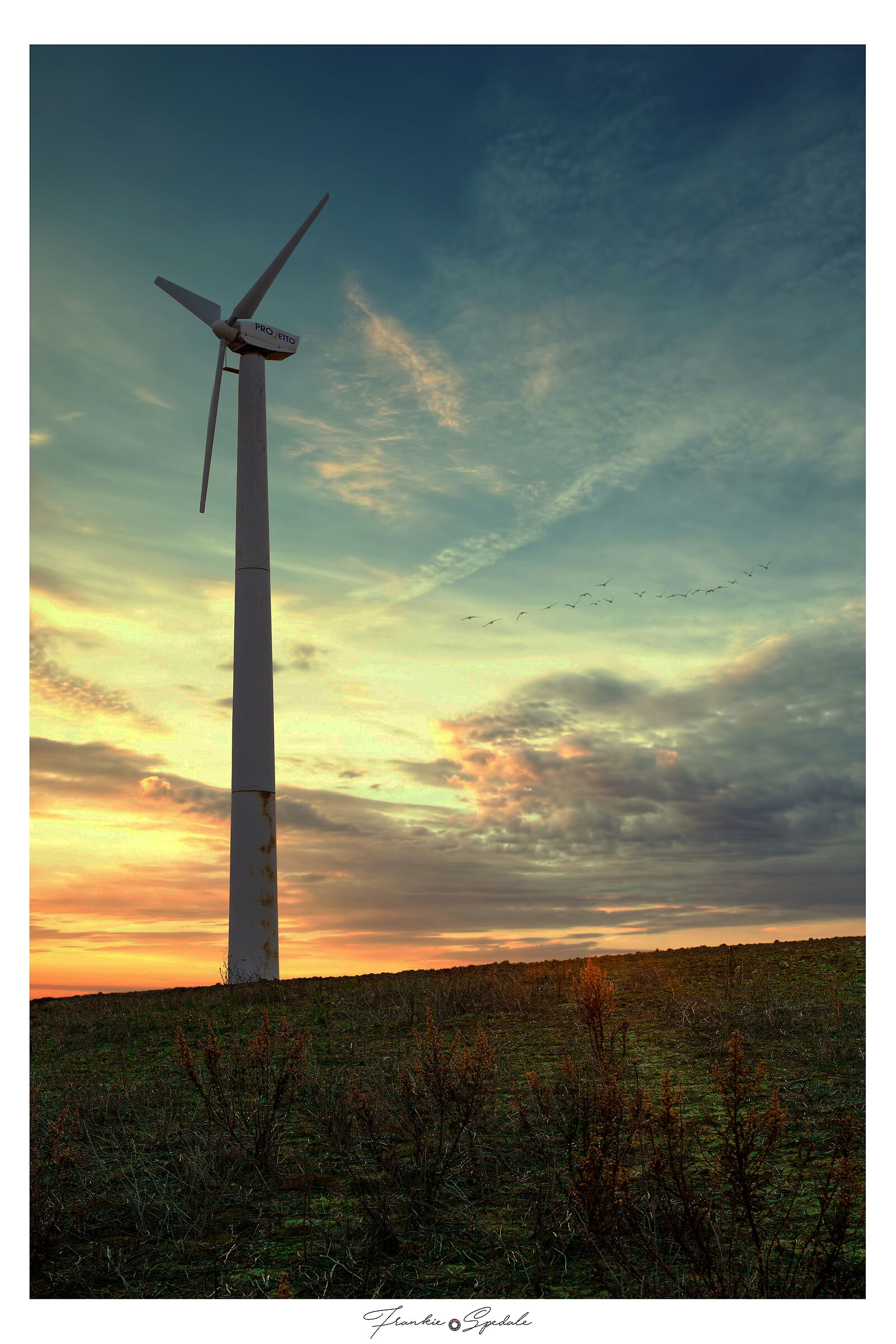 San Marzano di San Giuseppe - TA Puglia