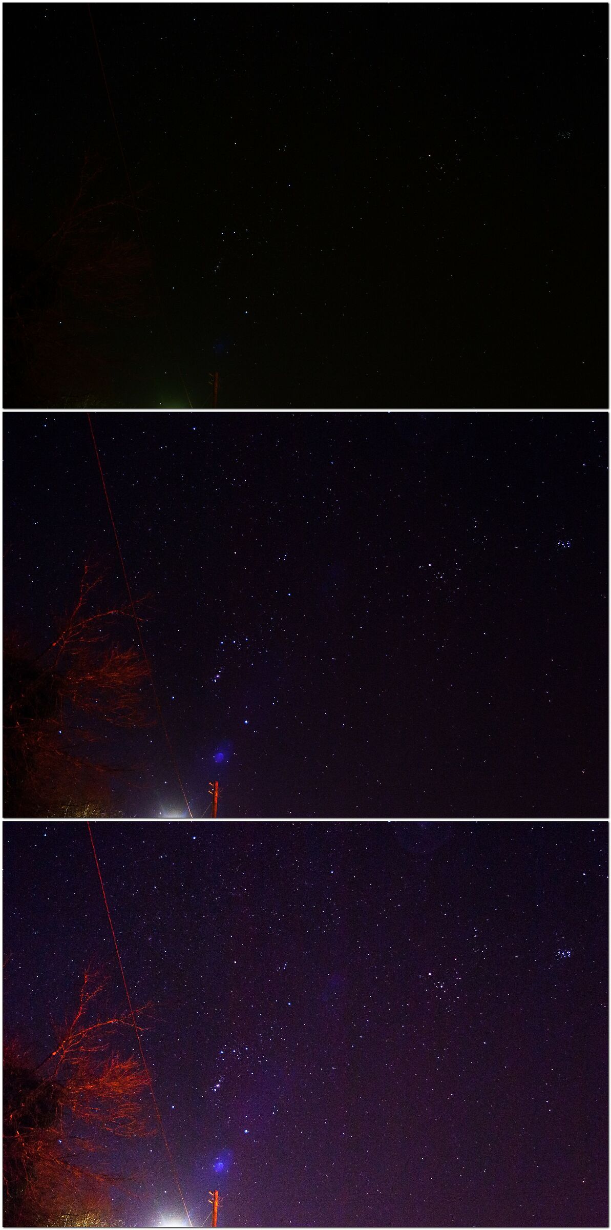 orione toro pleiaidi PP