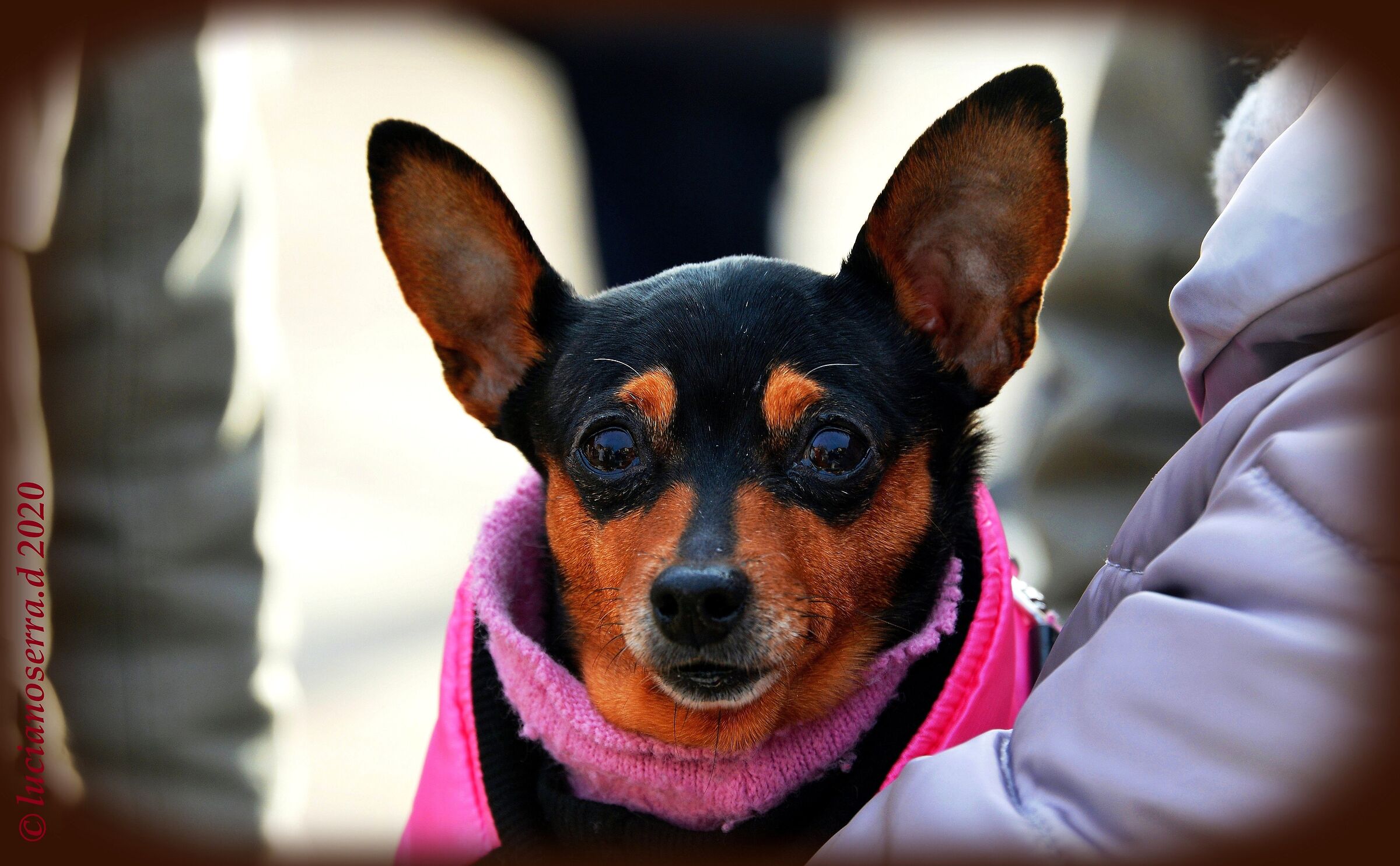 Vorrei tanto andare a casa... ho freddo... e paura...