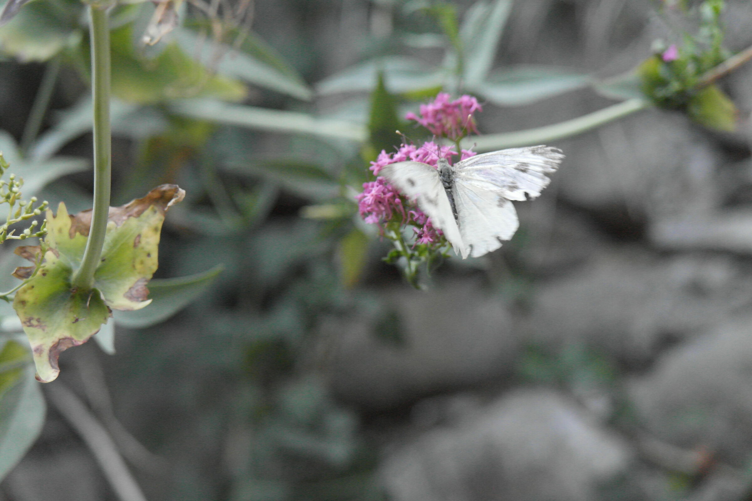 un istante è irripetibile. Leggerezza e  pesatezza