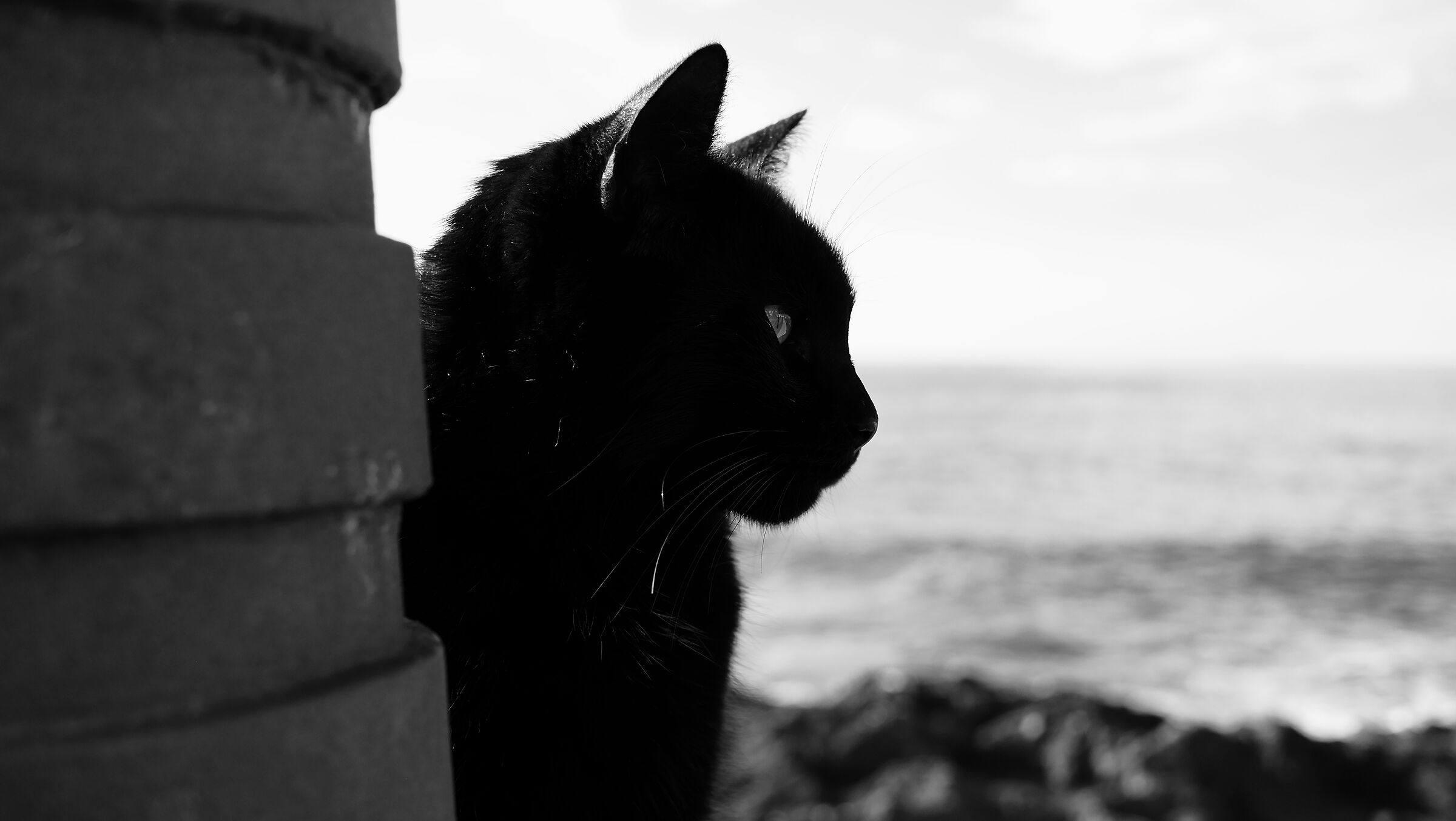 An cath dubh