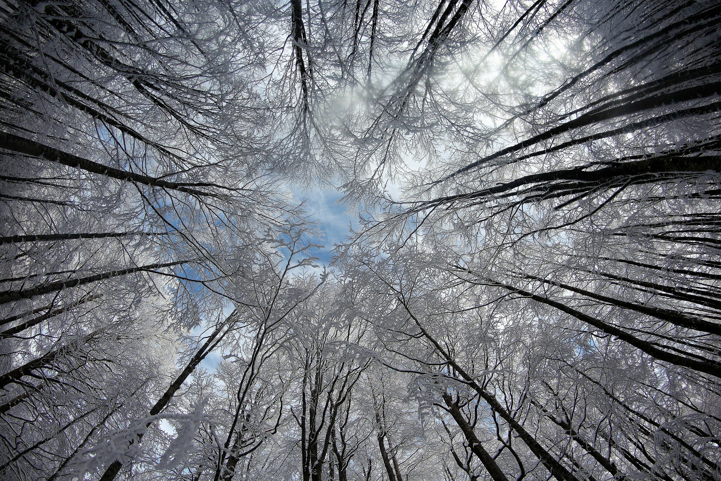 Uno sguardo verso il cielo