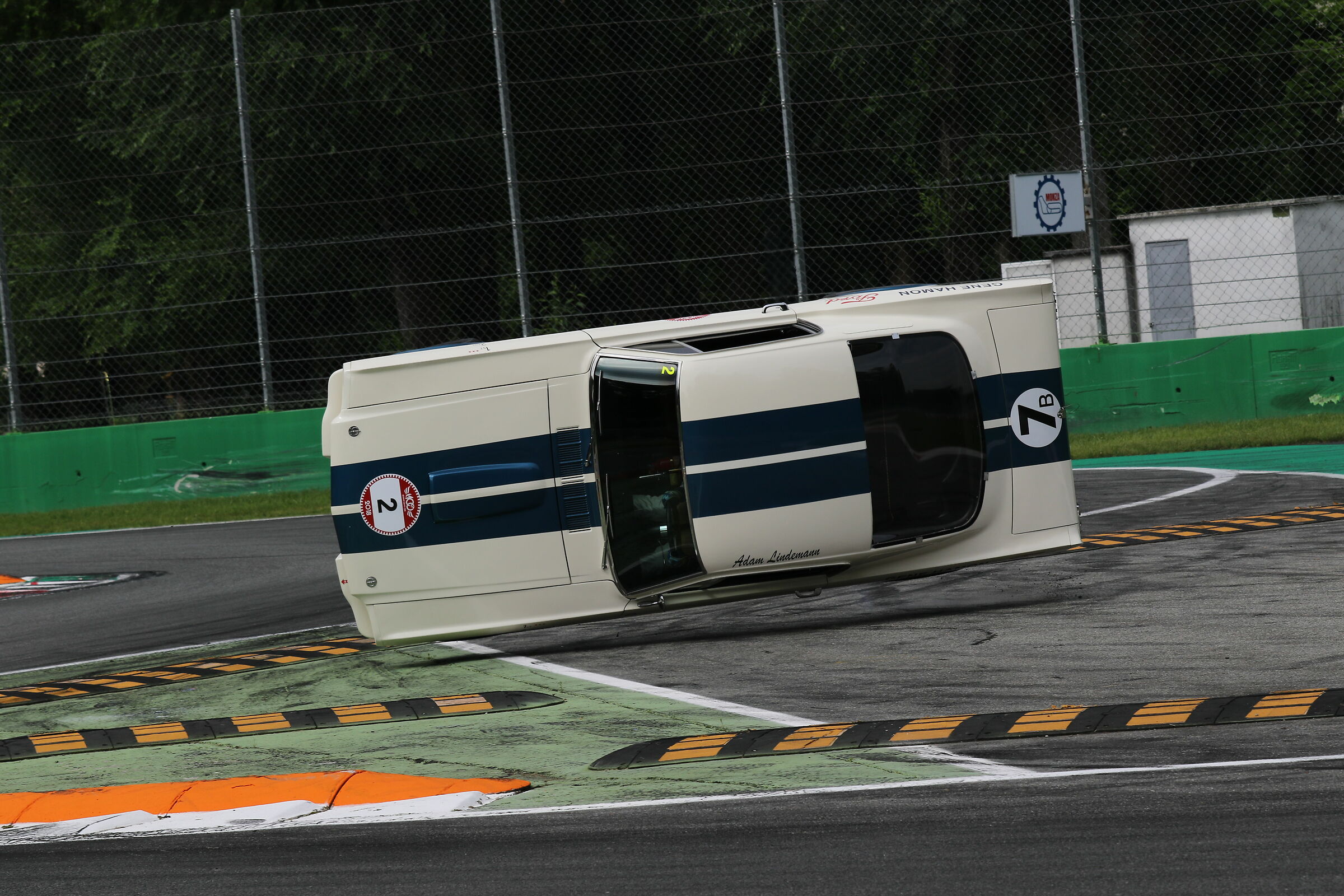 Capriola cogli l attimo