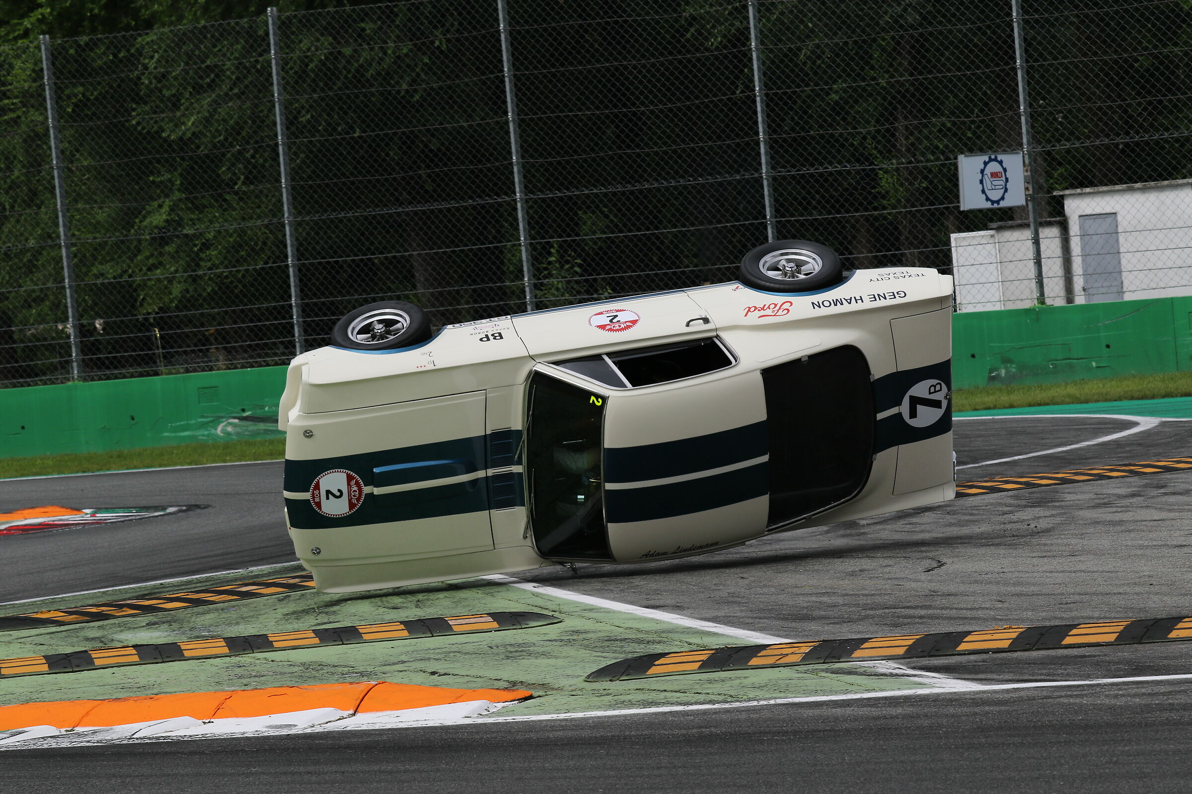 Capriola cogli l attimo