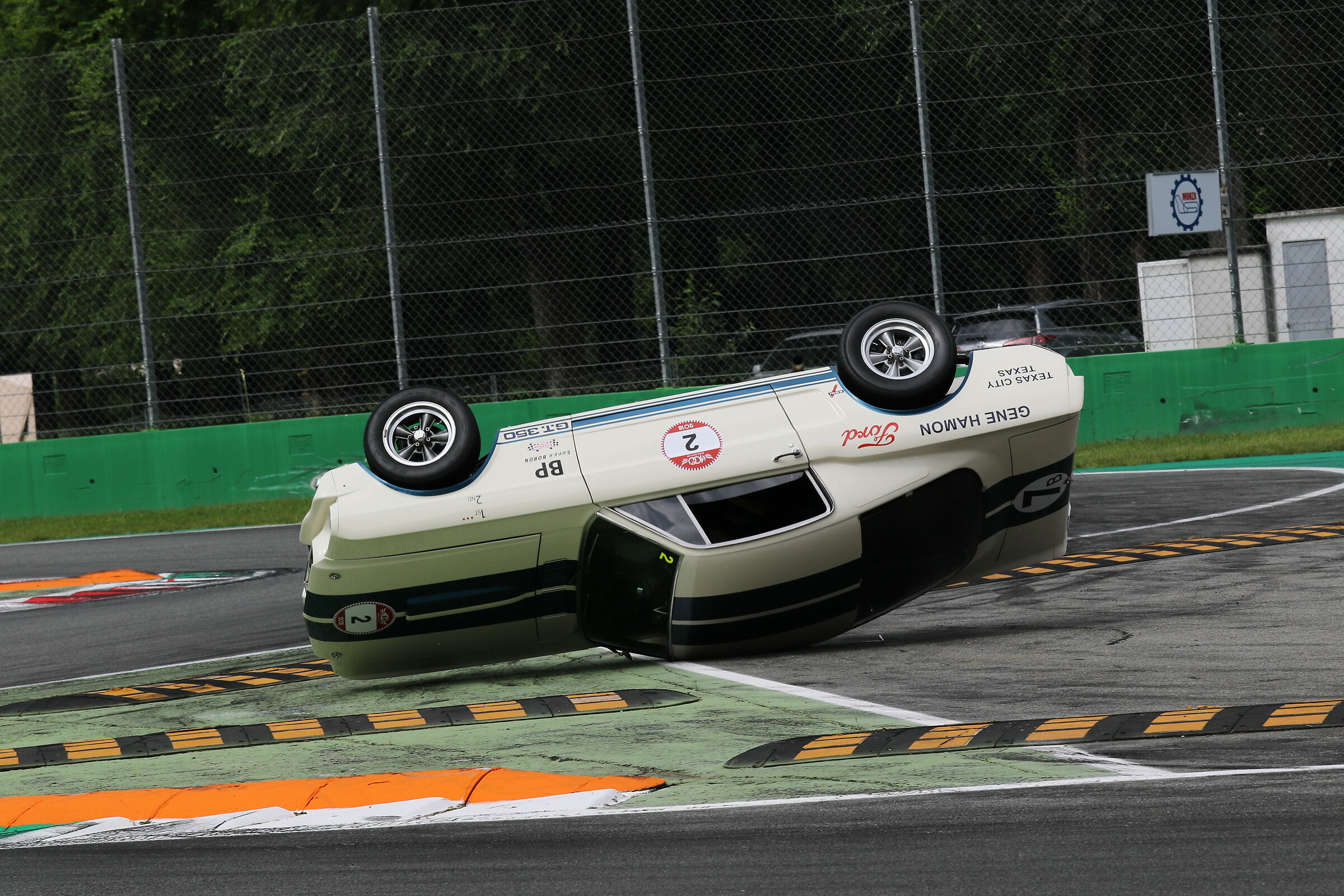 Capriola cogli l attimo