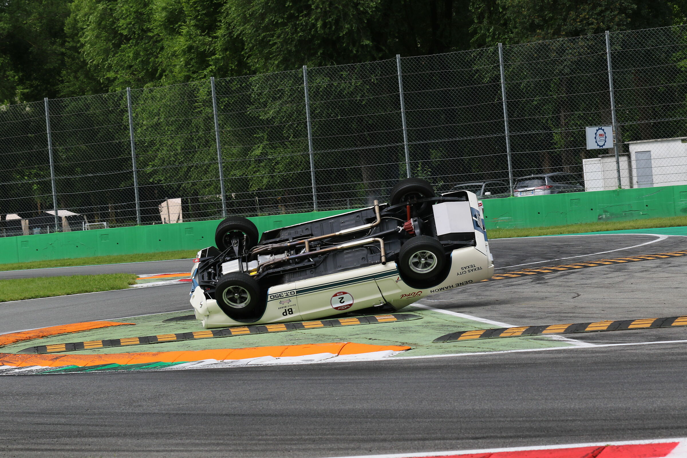 Capriola cogli l attimo