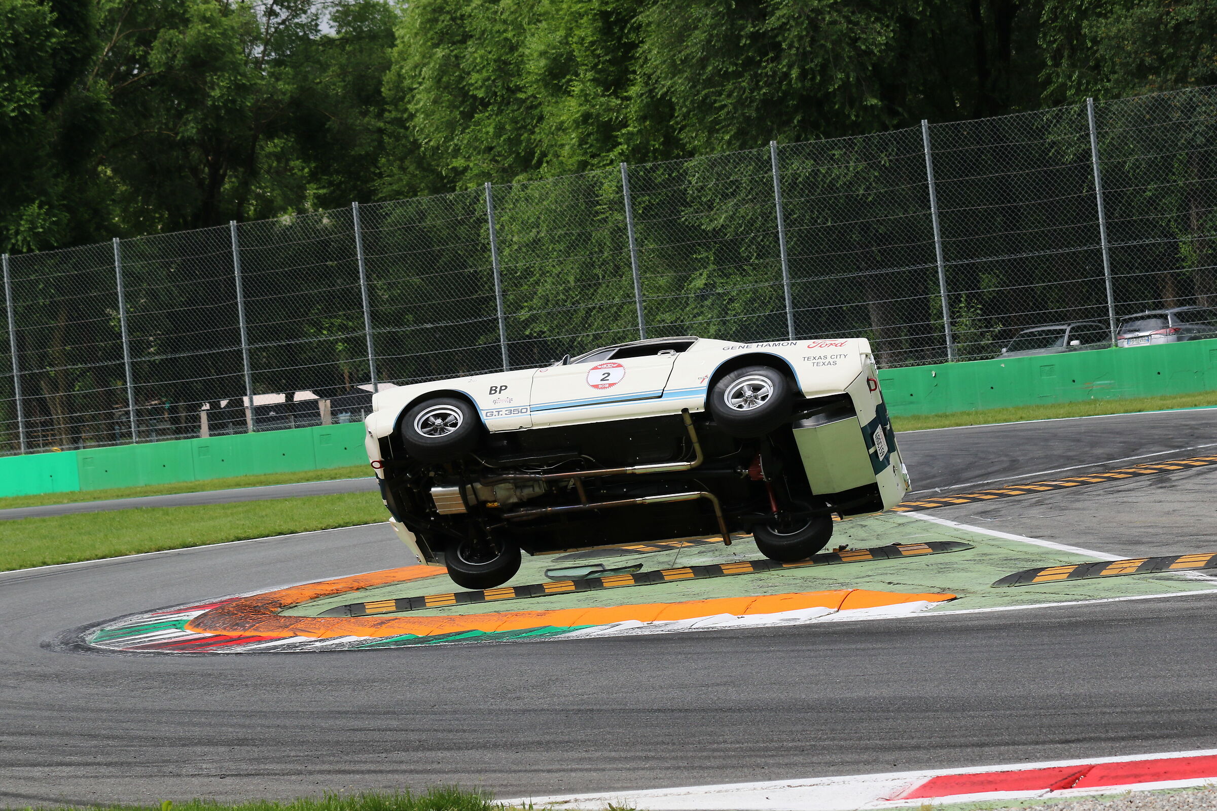 Capriola cogli l attimo