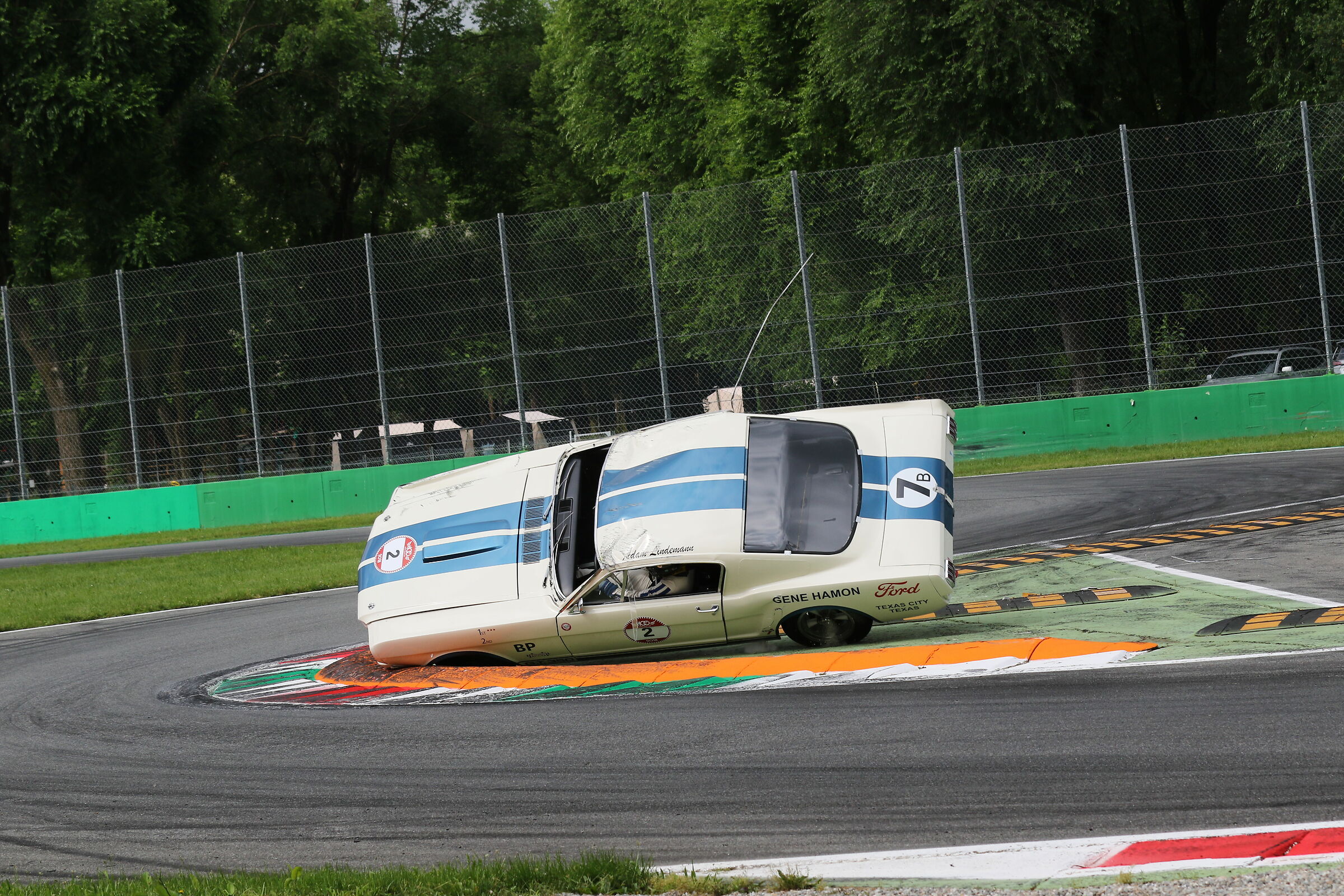 Capriola cogli l attimo