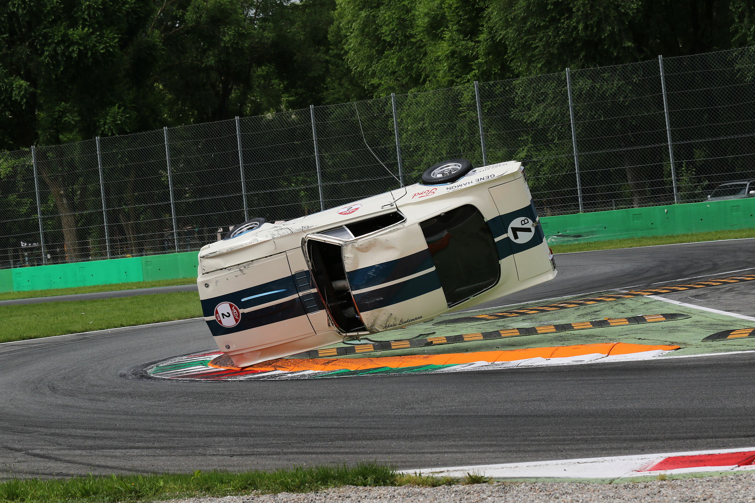 Capriola cogli l attimo