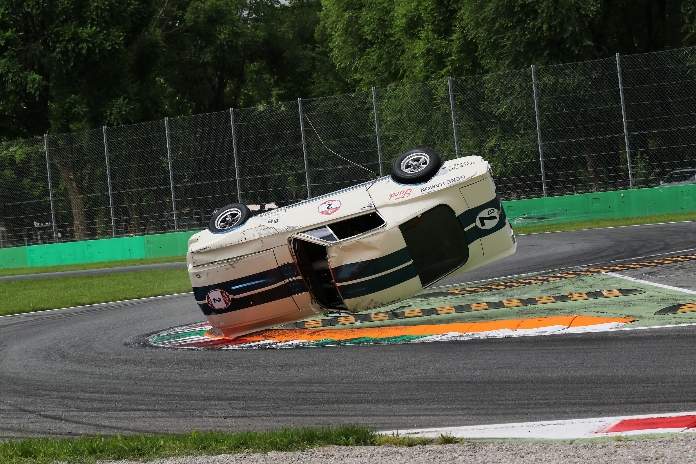 Capriola cogli l attimo