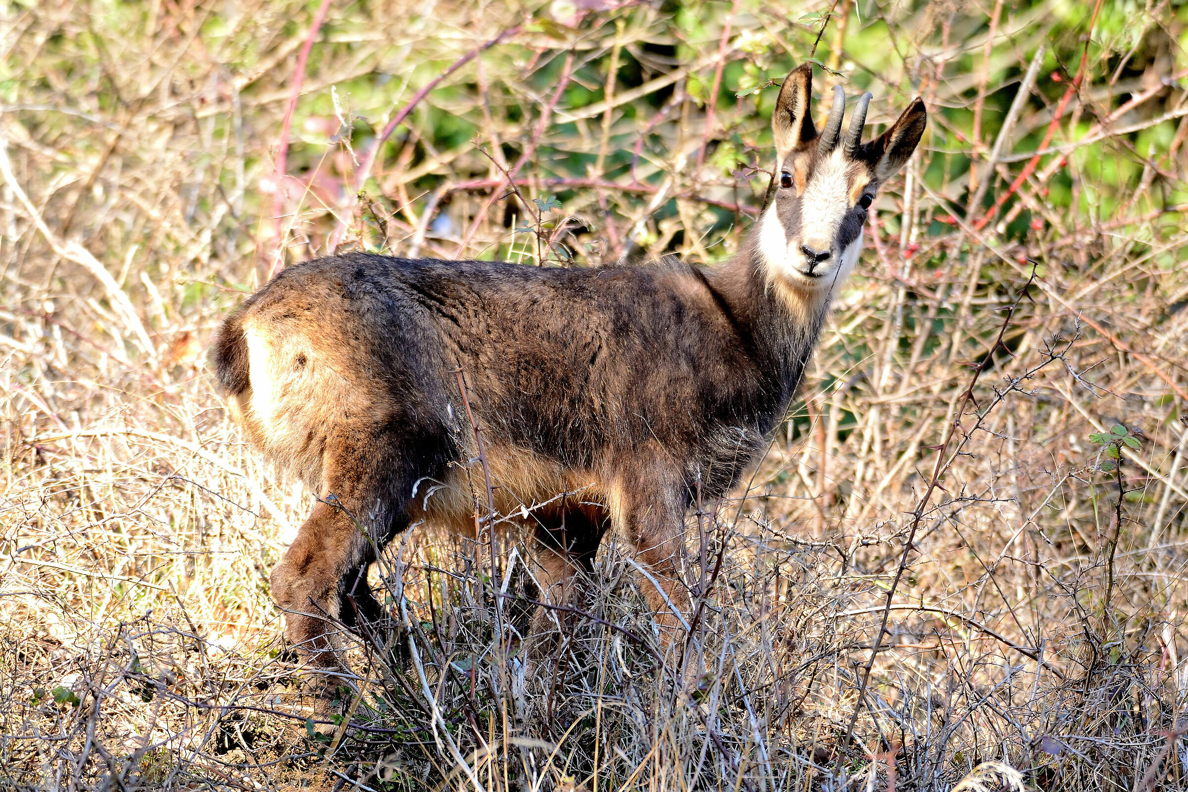 What are you looking at?