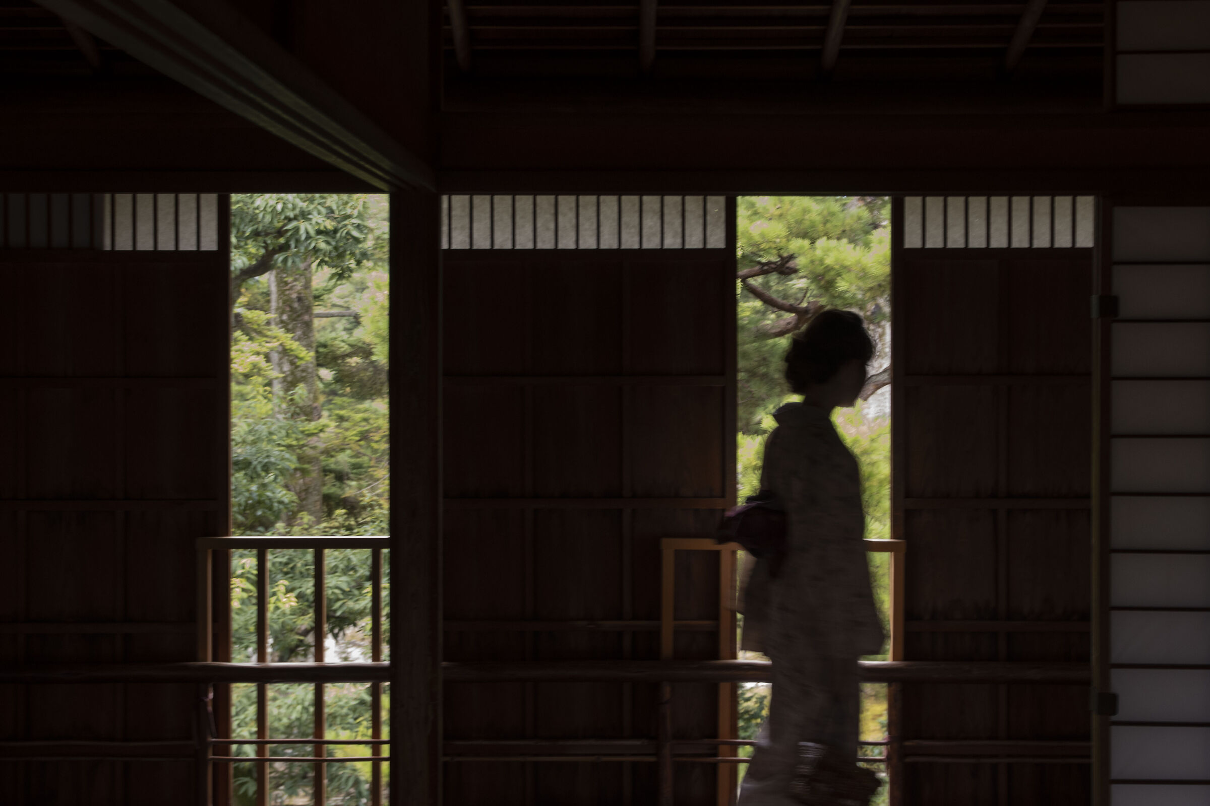 Untitled Photo