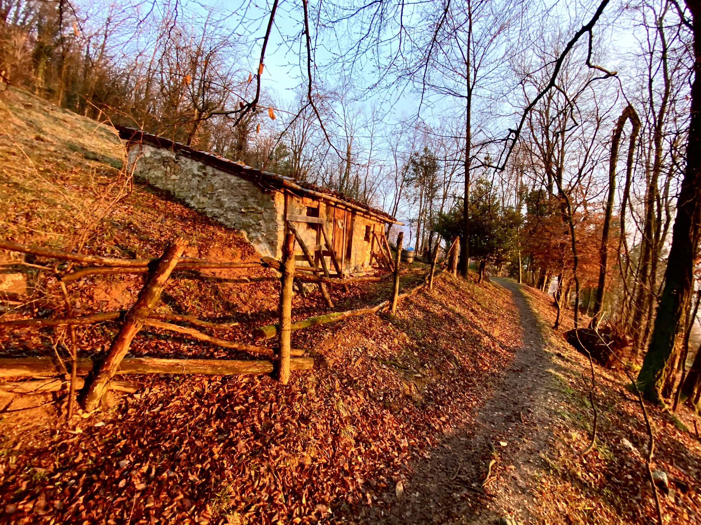 September does not return