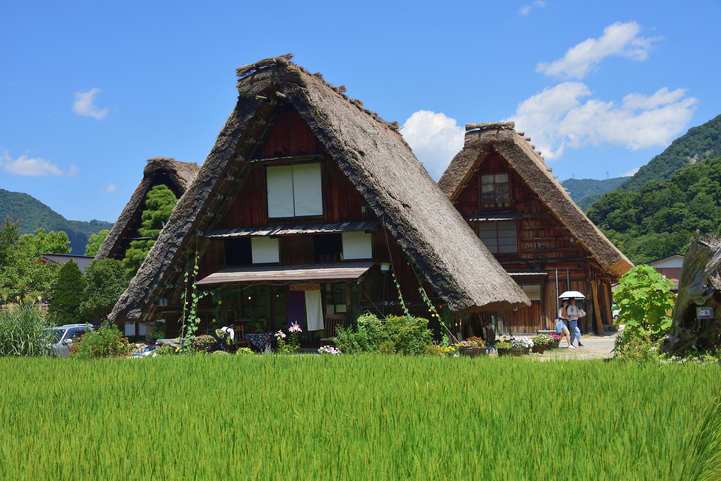 Shirakawago