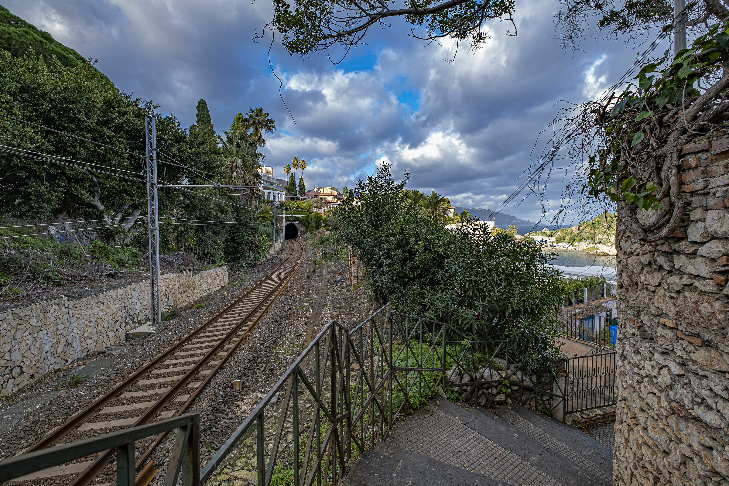 fuji xt3 con 10/24 4r ois  1/124 f5.6 iso 80 10 MM